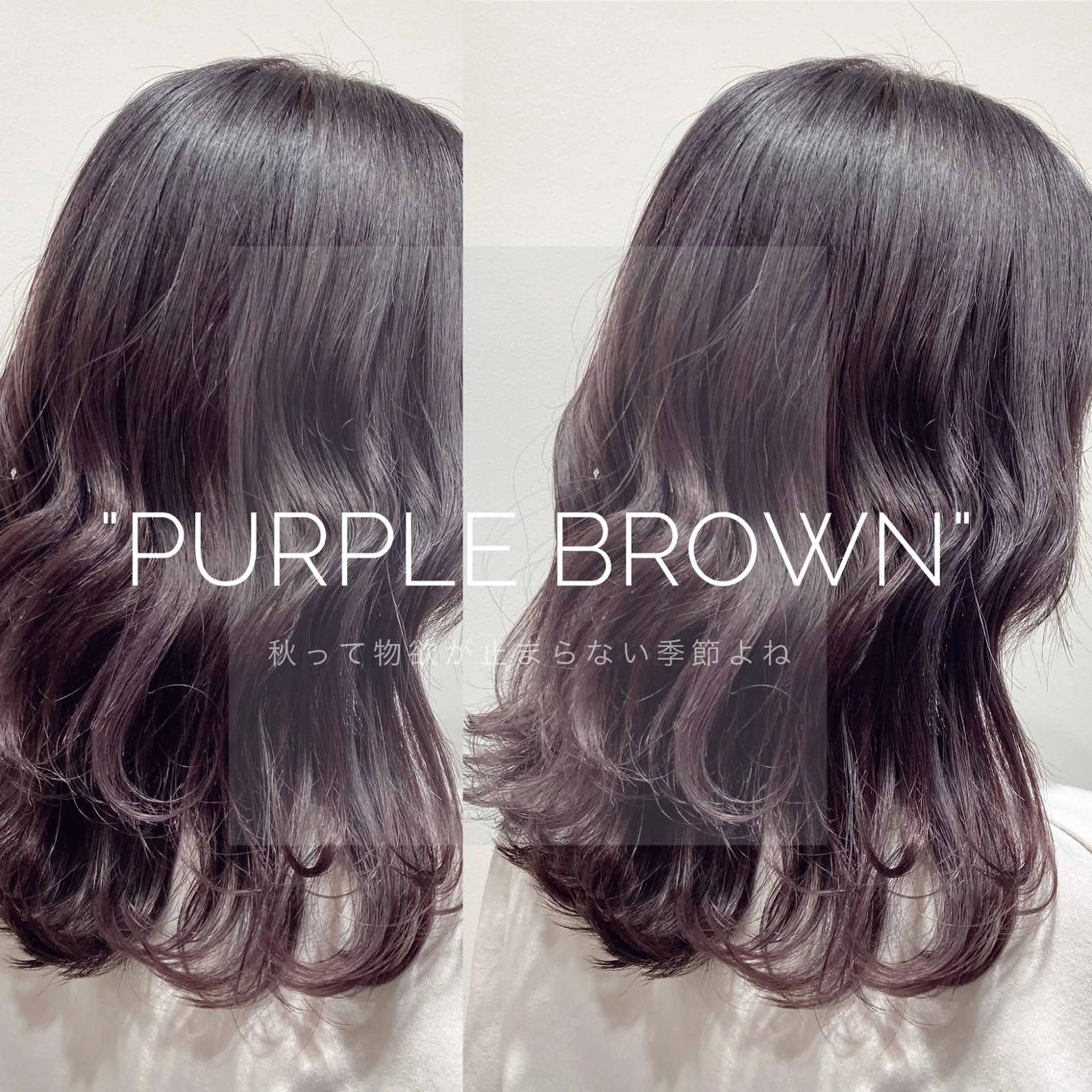 ミディアム カラー パーマ ヘアアレンジ Zina渋谷エリア マネージャShionのヘアスタイル