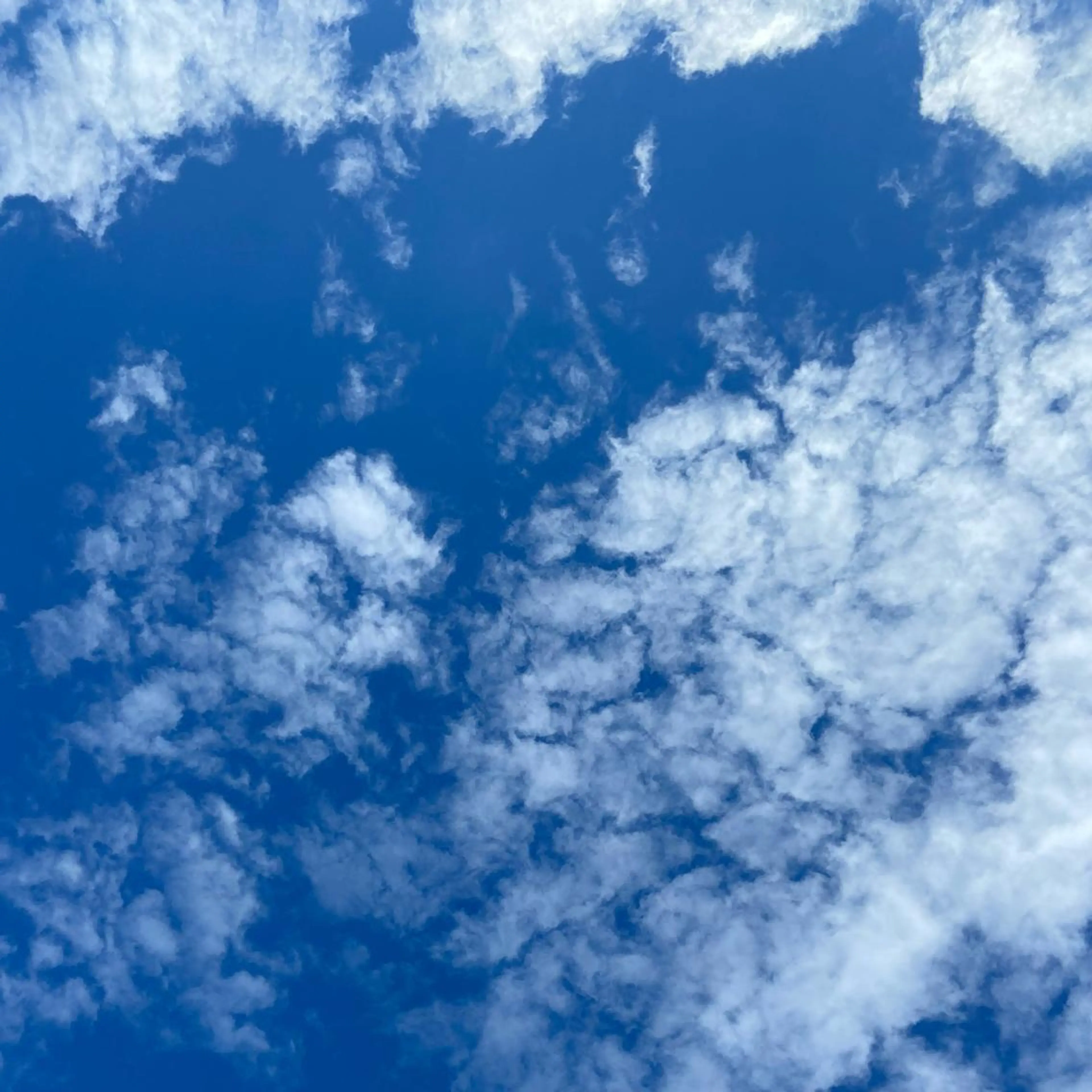 TIDEHAIR SHIHOのヘアスタイル