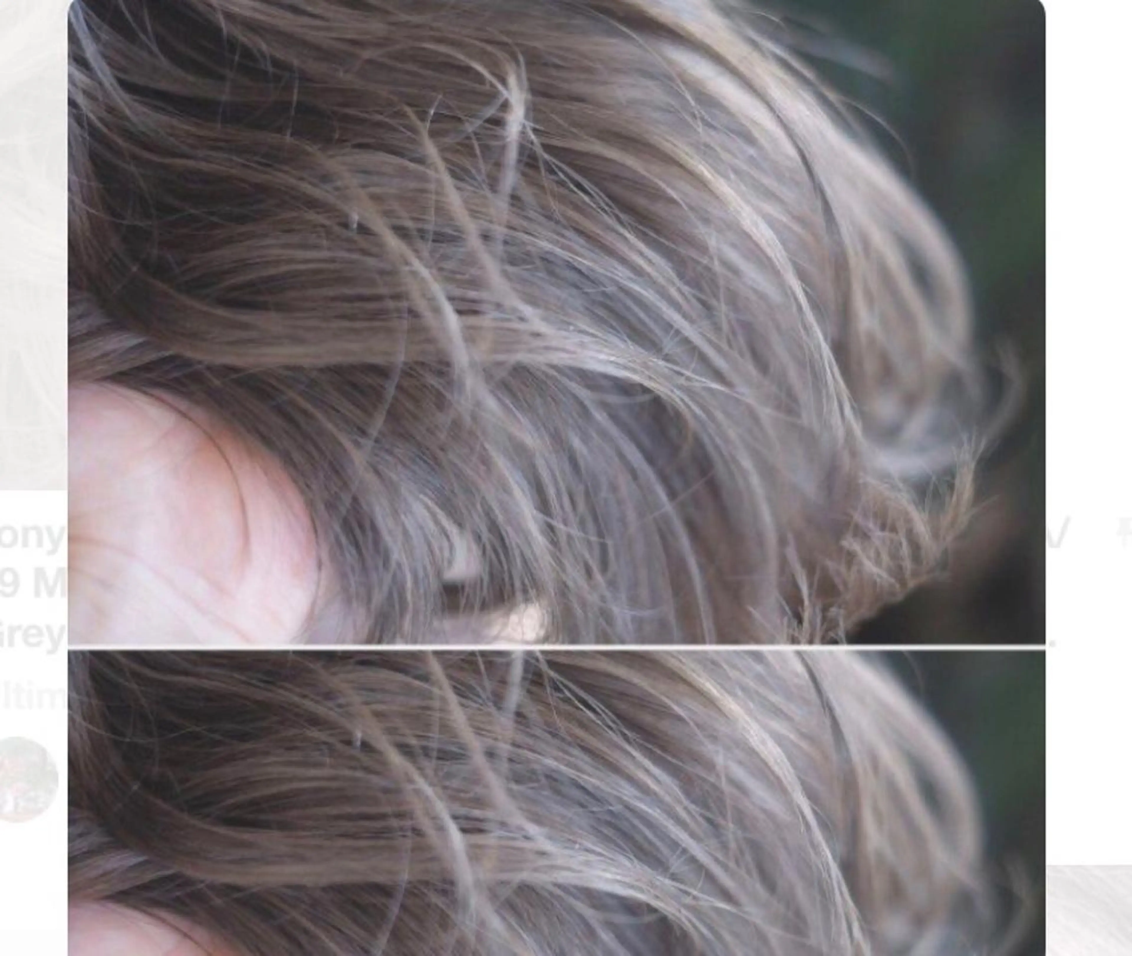 カラー ブリーチ イルミナカラー ブリーチなしカラー ヘアカラー トリートメント ケア剤オタク×海外 ヘア長谷川裕起のヘアスタイル