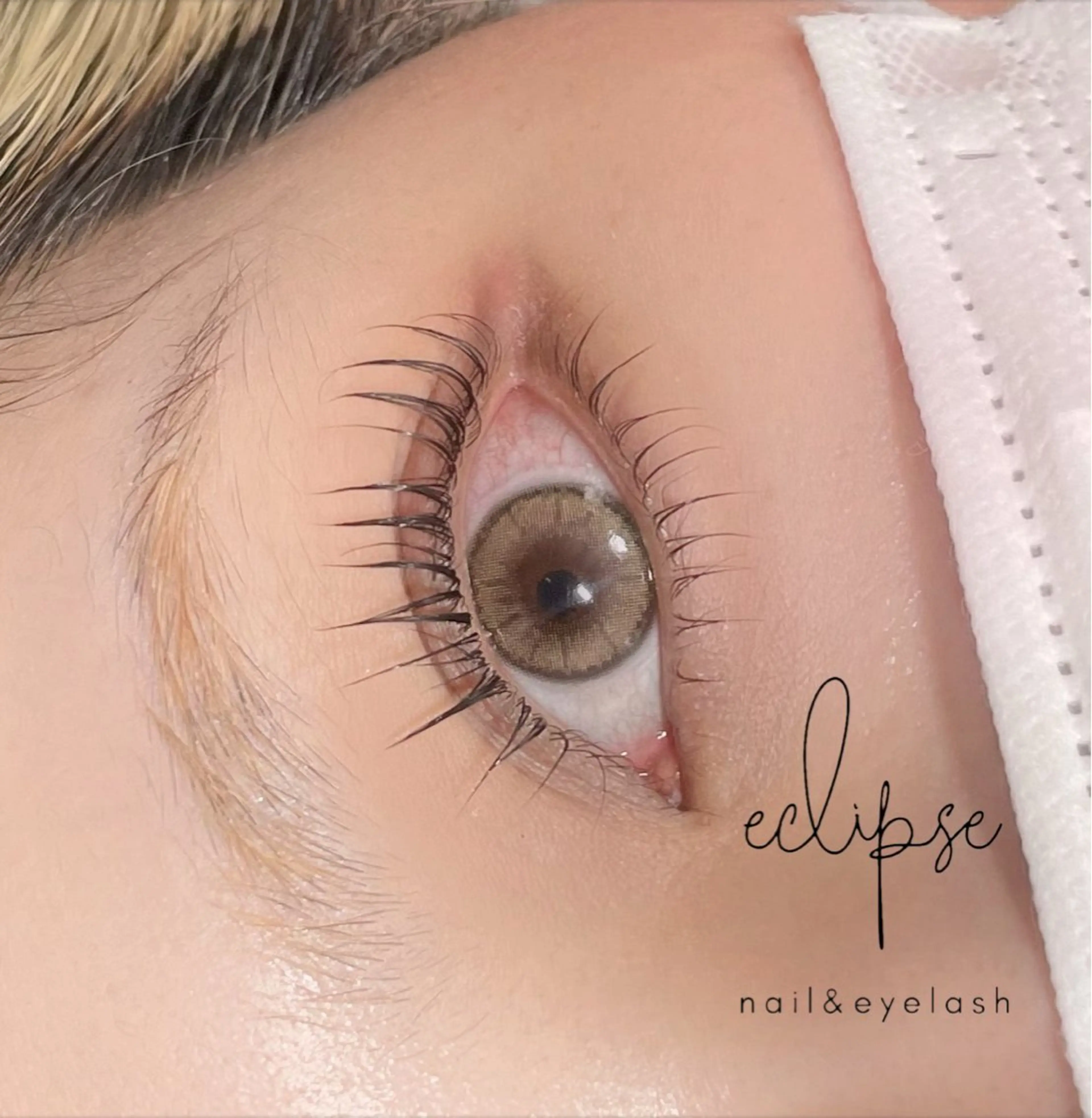 マツエク・マツパ マツパ eclipse eyelashのマツエク・マツパデザイン