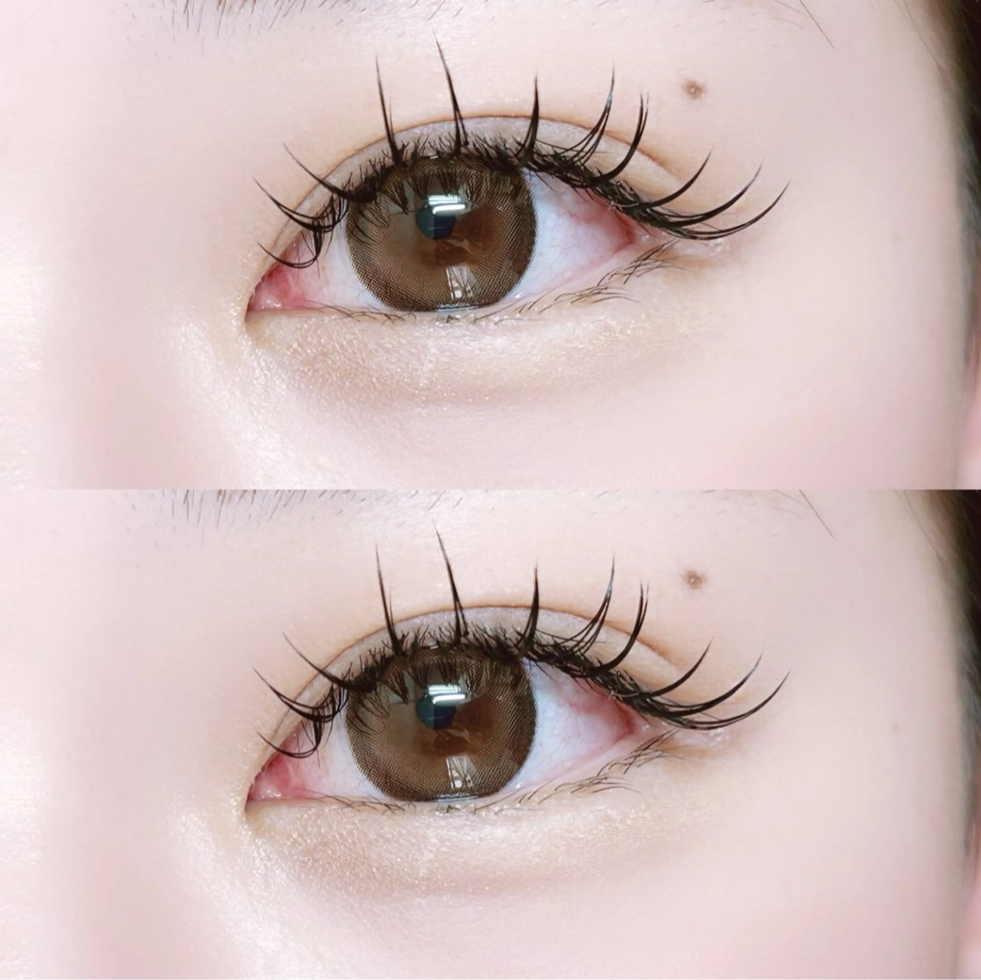 📌 【2月の平日限定】LEDエクステ120本※オフ代別途500円※補足を必ずご確認下さいの写真