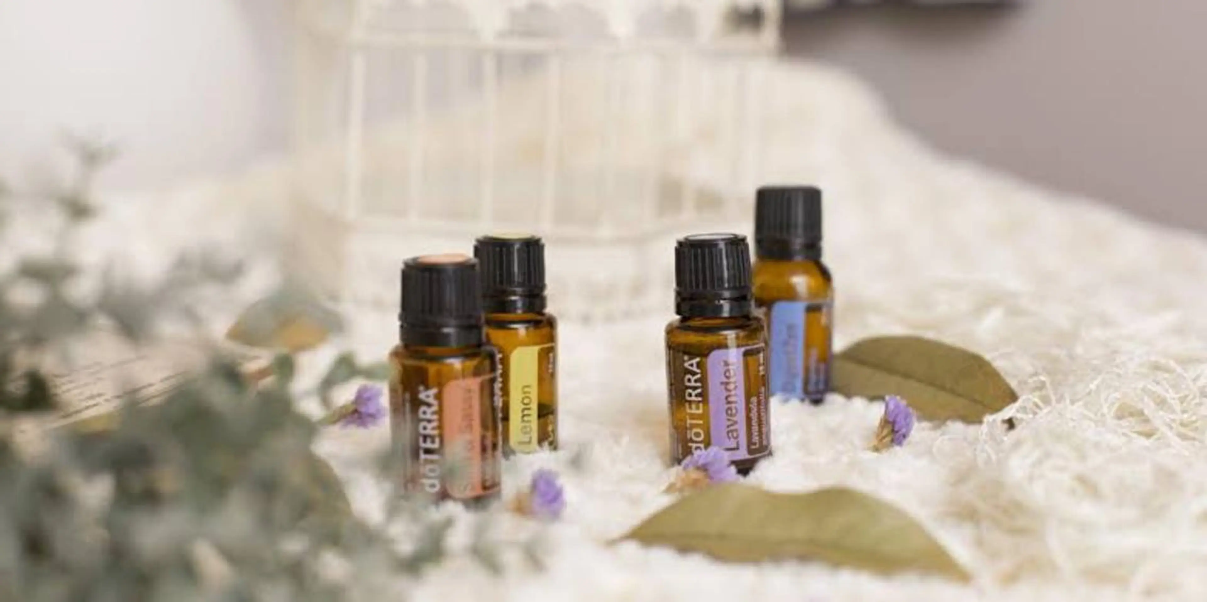 Ring -femのエステ・リラクイメージ