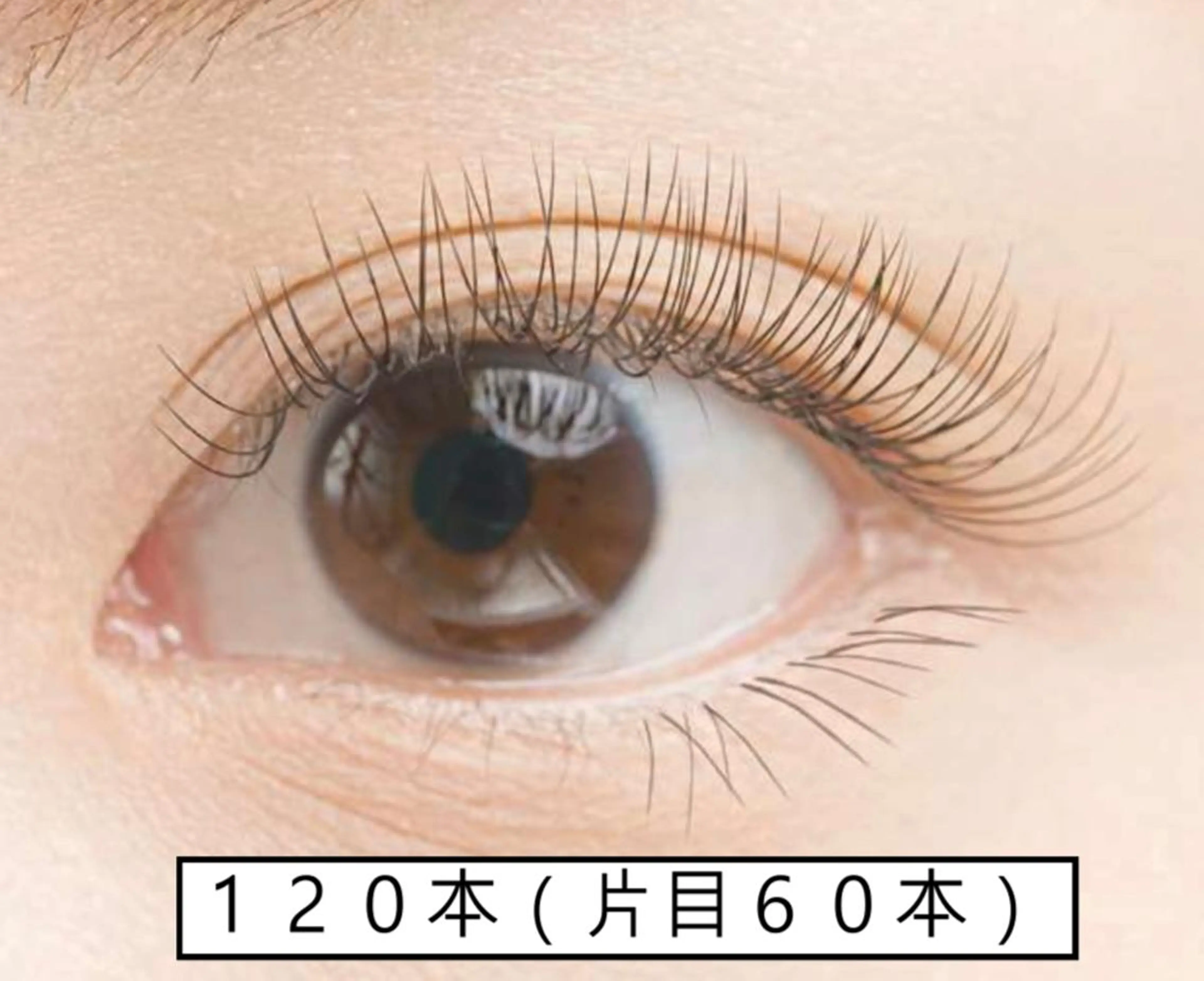 🌙シングルラッシュ 120本🌙【minimo価格】の写真