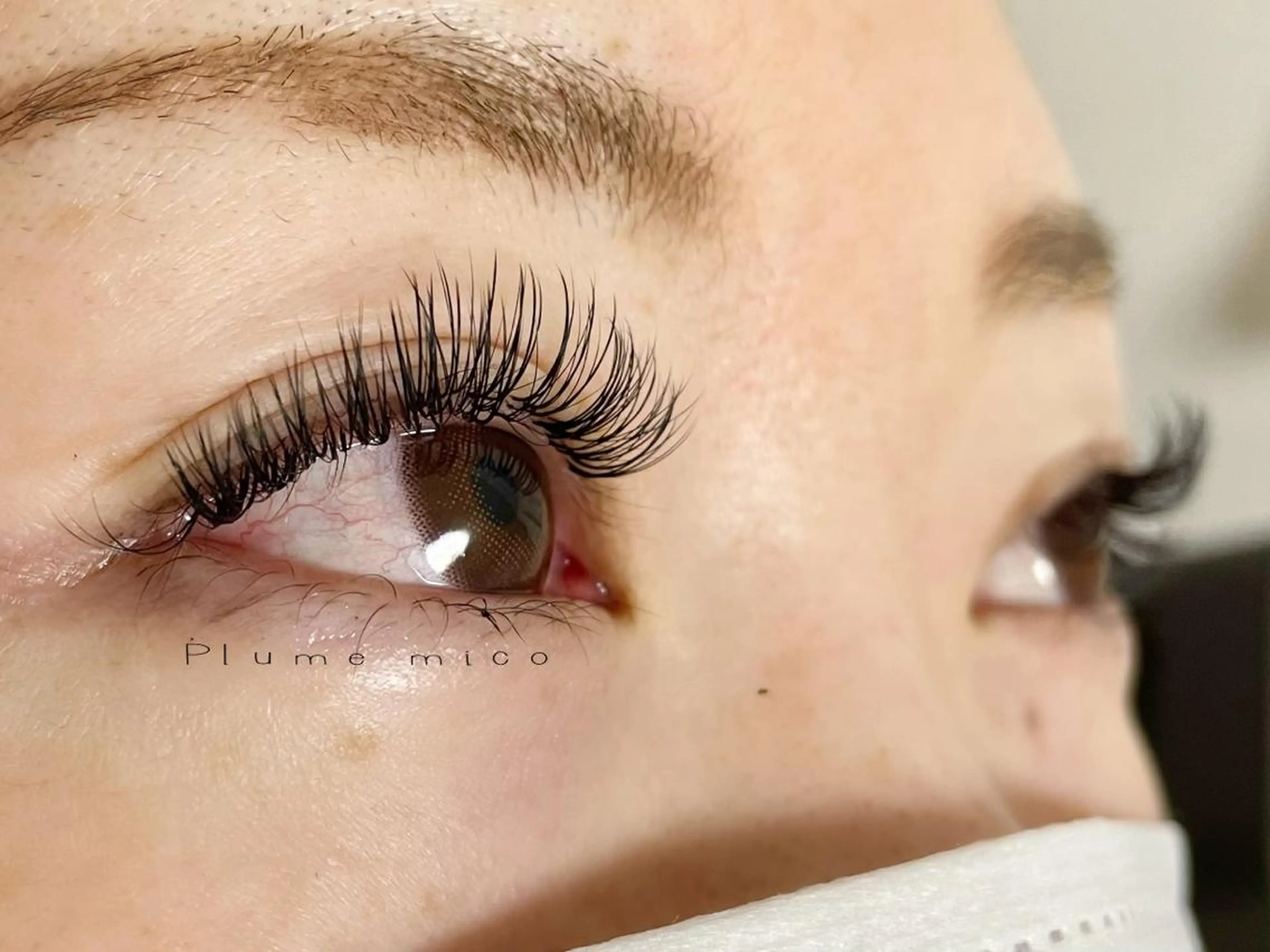 マツエク・マツパ マツエク Plume micoのマツエク・マツパデザイン