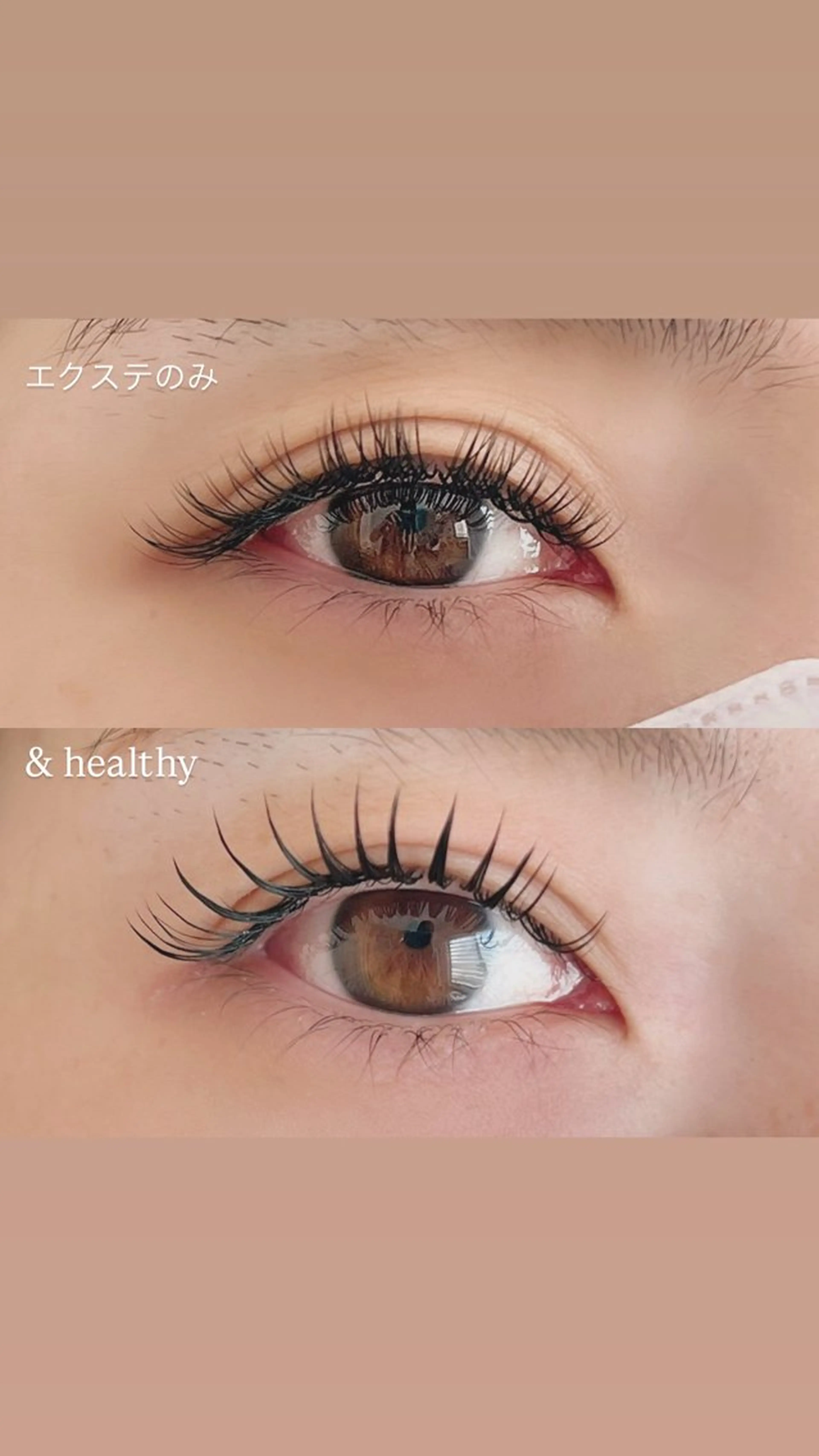 【期間限定🌸& Healthy】フラットラッシュ100本の写真