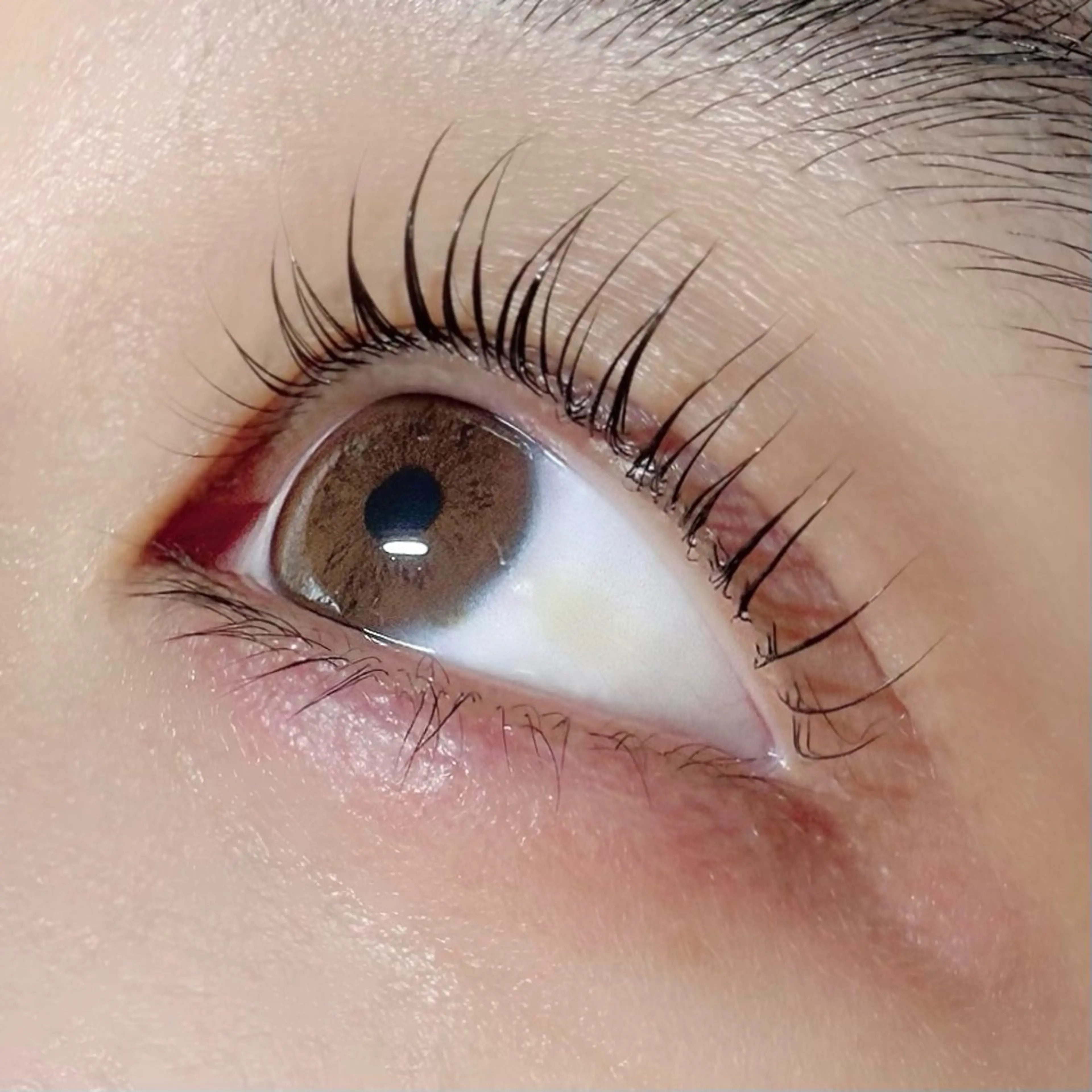 マツエク・マツパ メリア🦄大曽根/ まつパ/アイブロウのマツエク・マツパデザイン