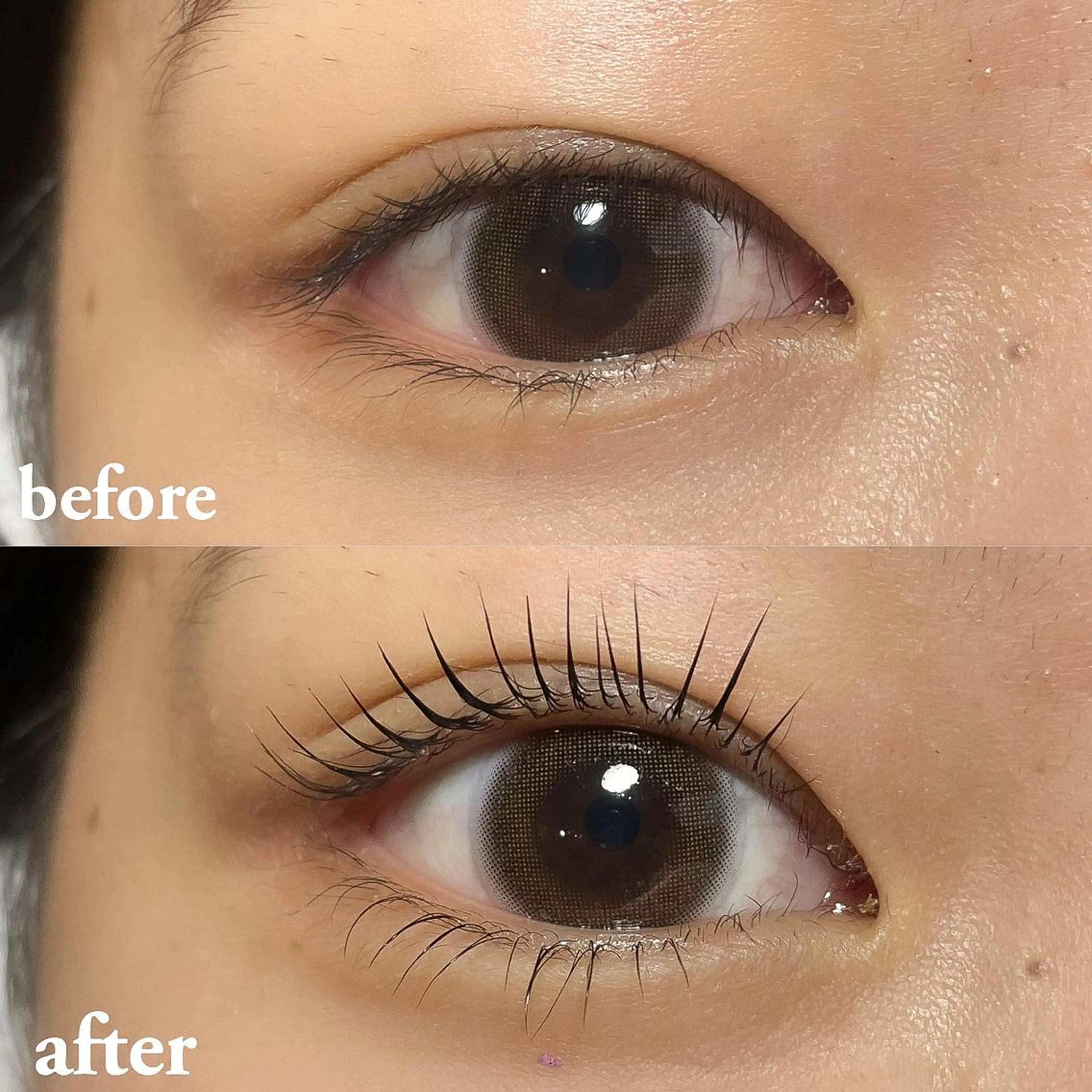 韓国風束感まつ毛パーマ上下orパリジェンヌラッシュリフト上下⭐️2回目以降の方限定!!の写真