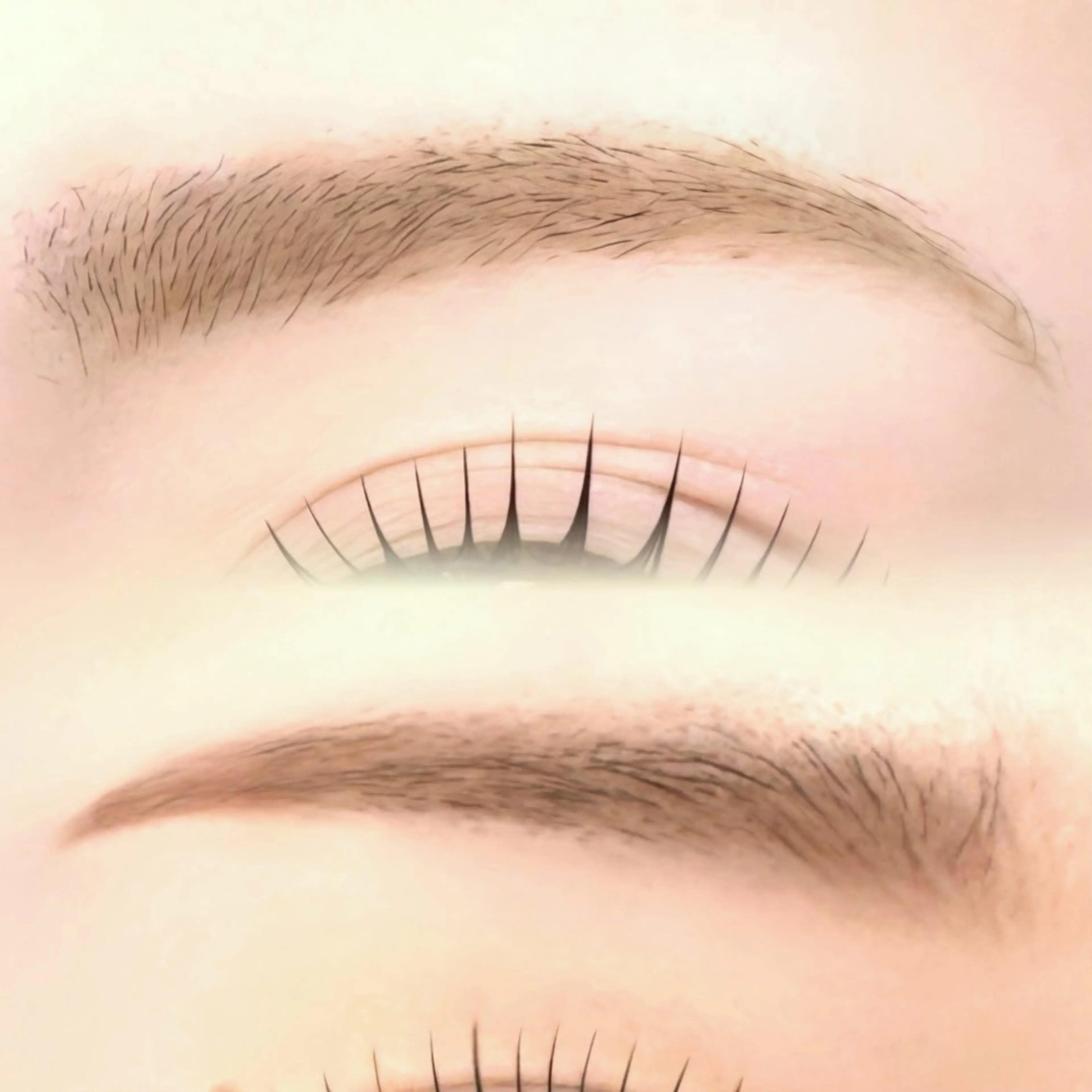 アイブロウスタイリング🪶WAX なしの写真