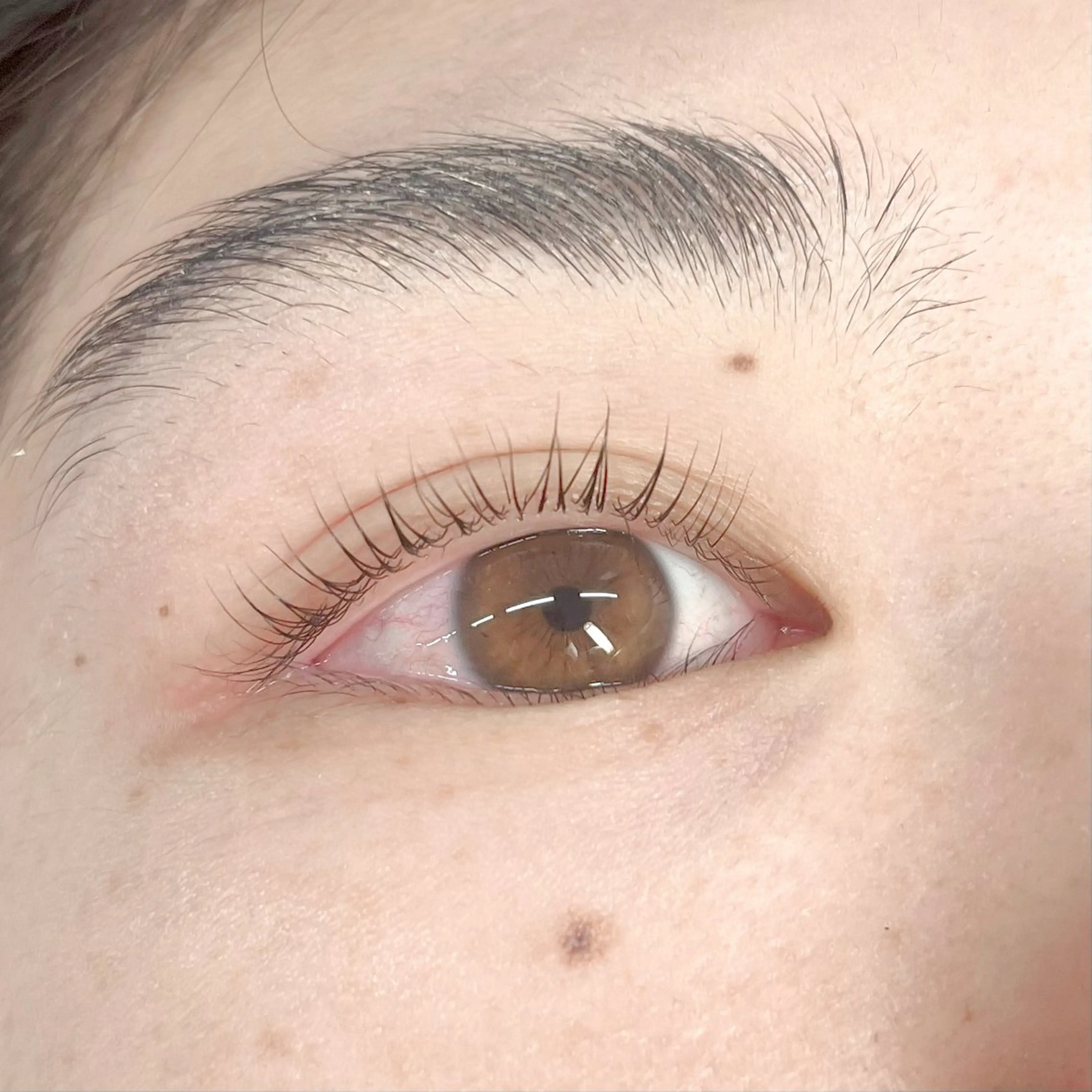 マツエク・マツパ ナチュラル Arona / mizukiの眉毛・アイブロウイメージ