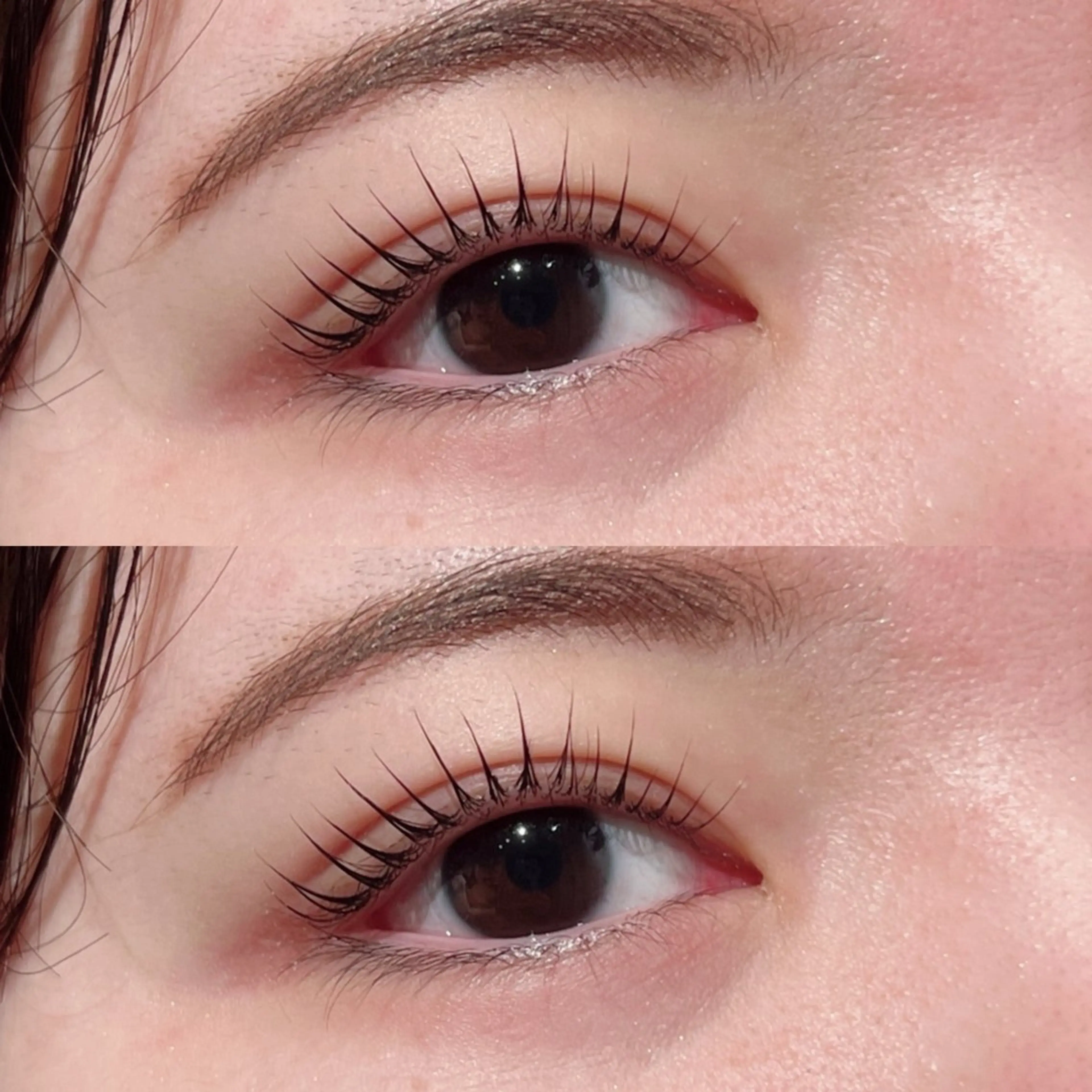 マツエク・マツパ マツパ Biolus／天王寺 本店 🔸YUI🔸のマツエク・マツパデザイン