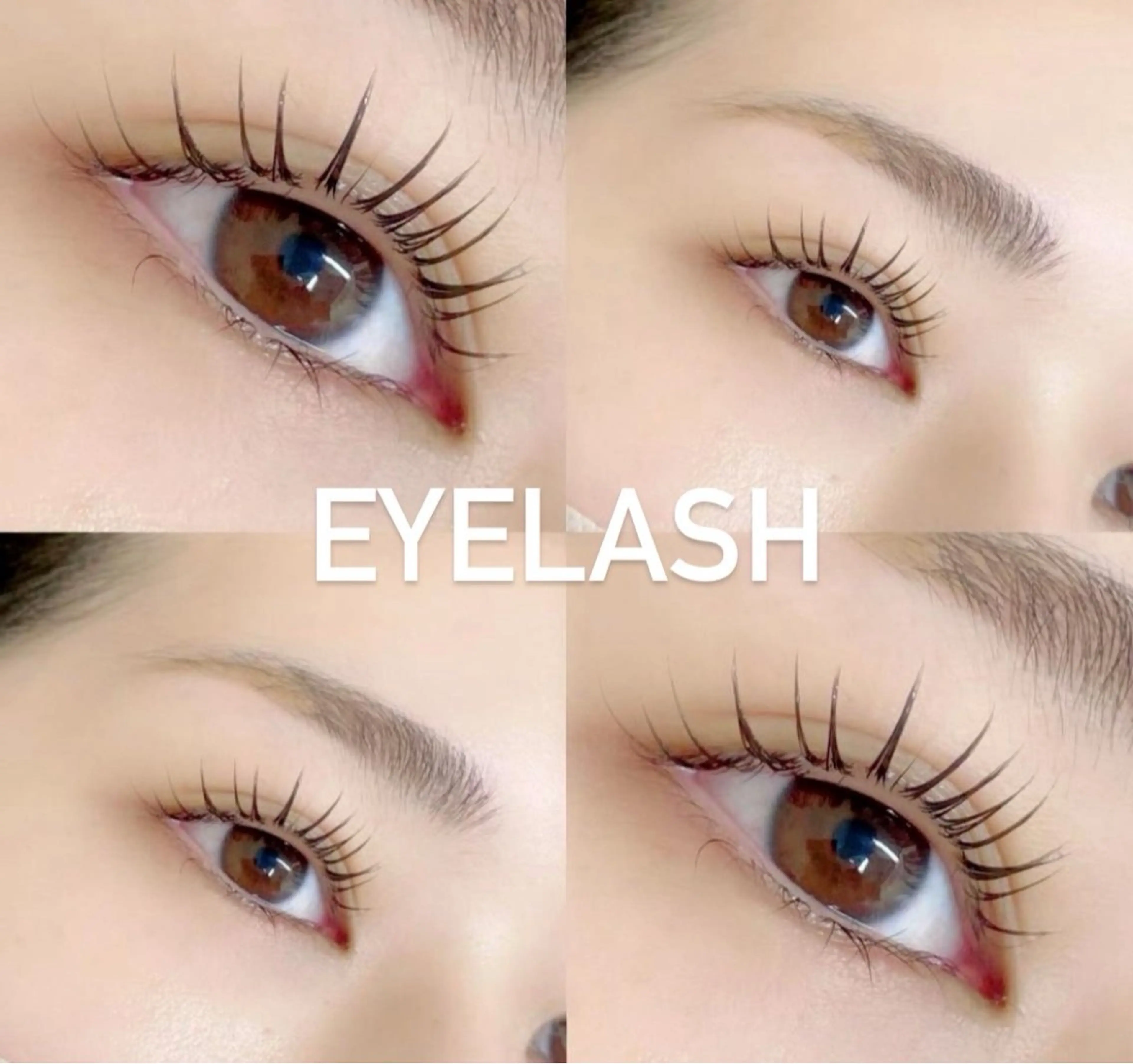 《期間限定🖤》まつげパーマ上🤍の写真