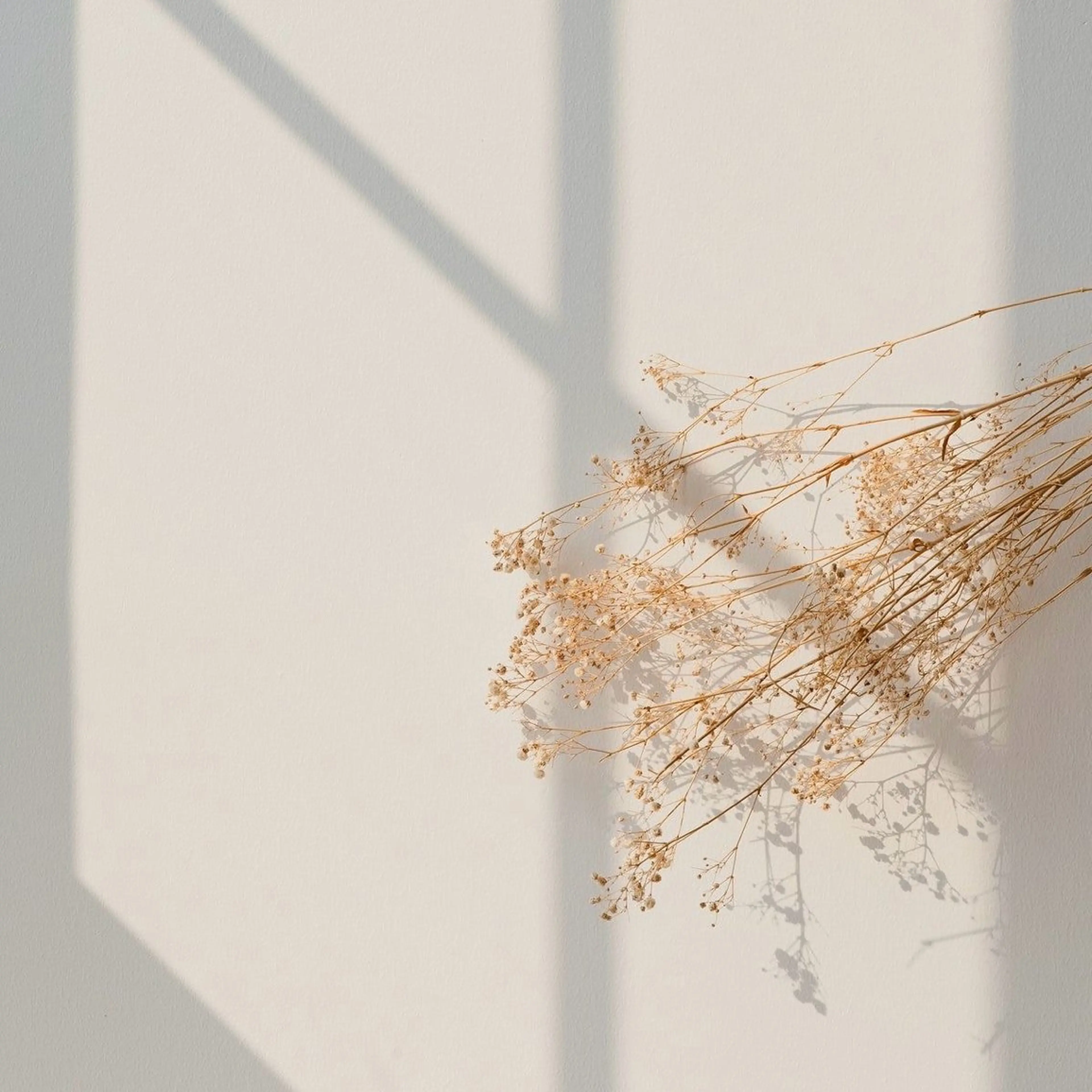 utari matsugeのマツエク・マツパデザイン