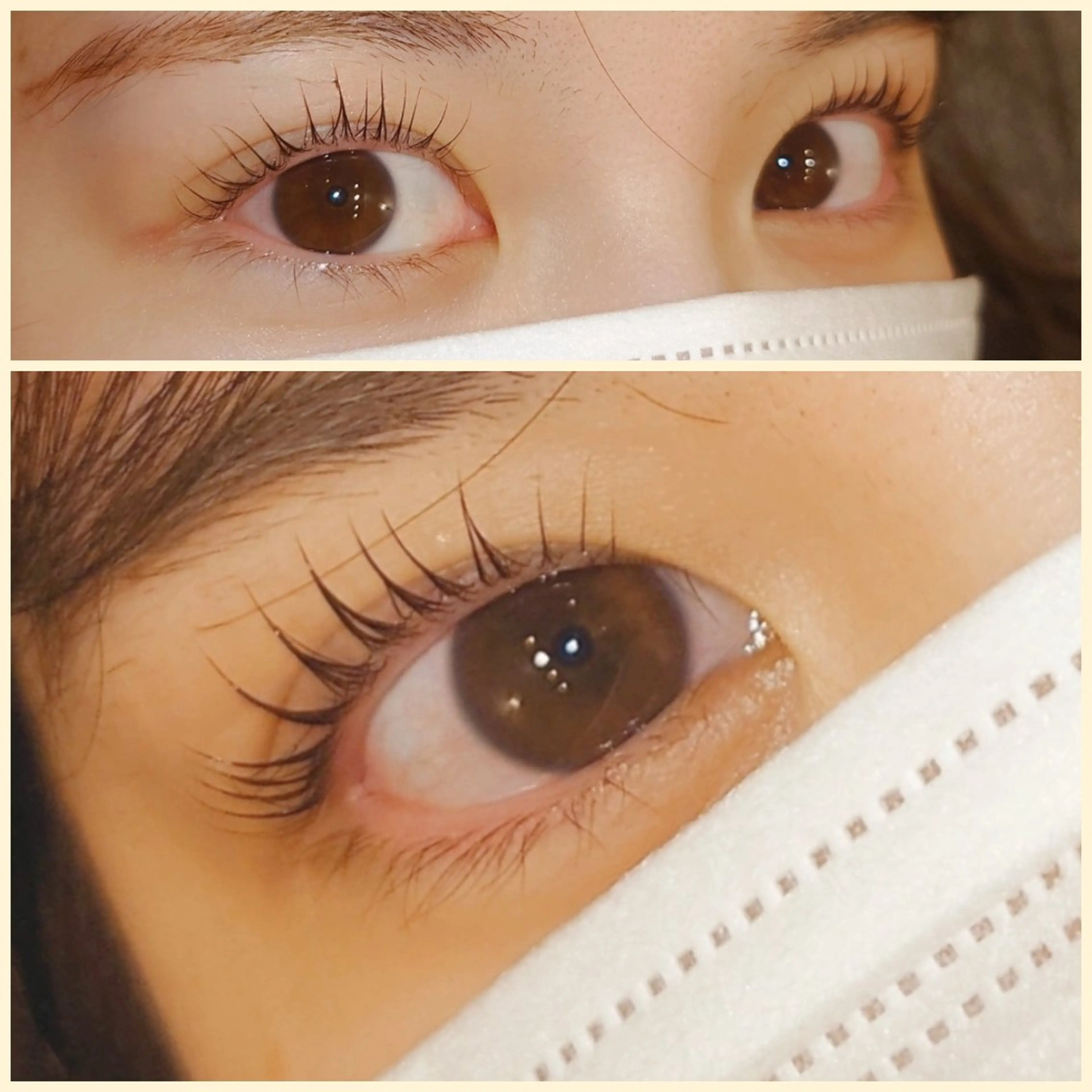 🌏次世代まつ毛パーマ＋ラッシュアディクト🌏土日祝＋550円の写真