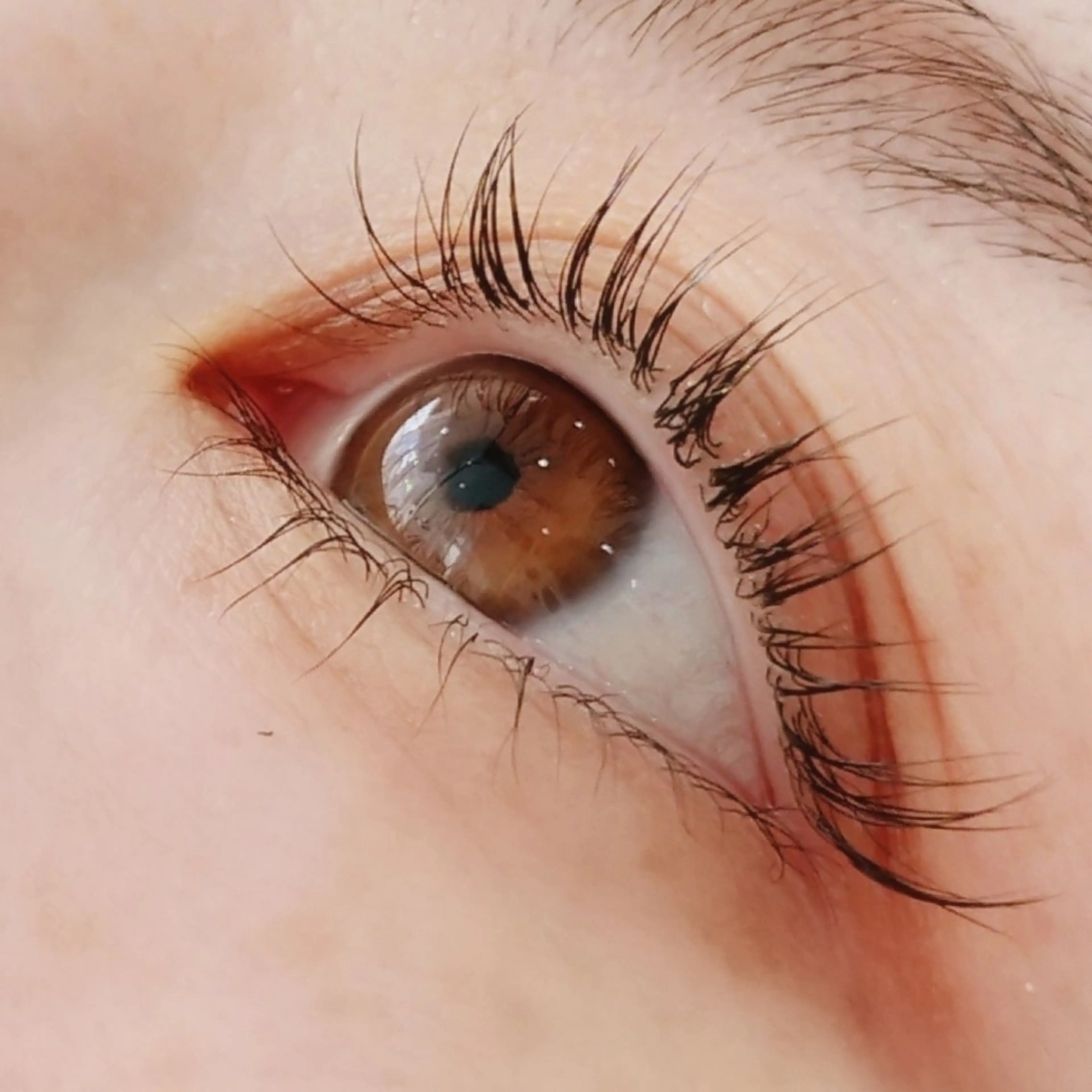 エクステ50本＆まつげパーマ¥9,800☄️同時施術✨オフ別途+10分500円の写真