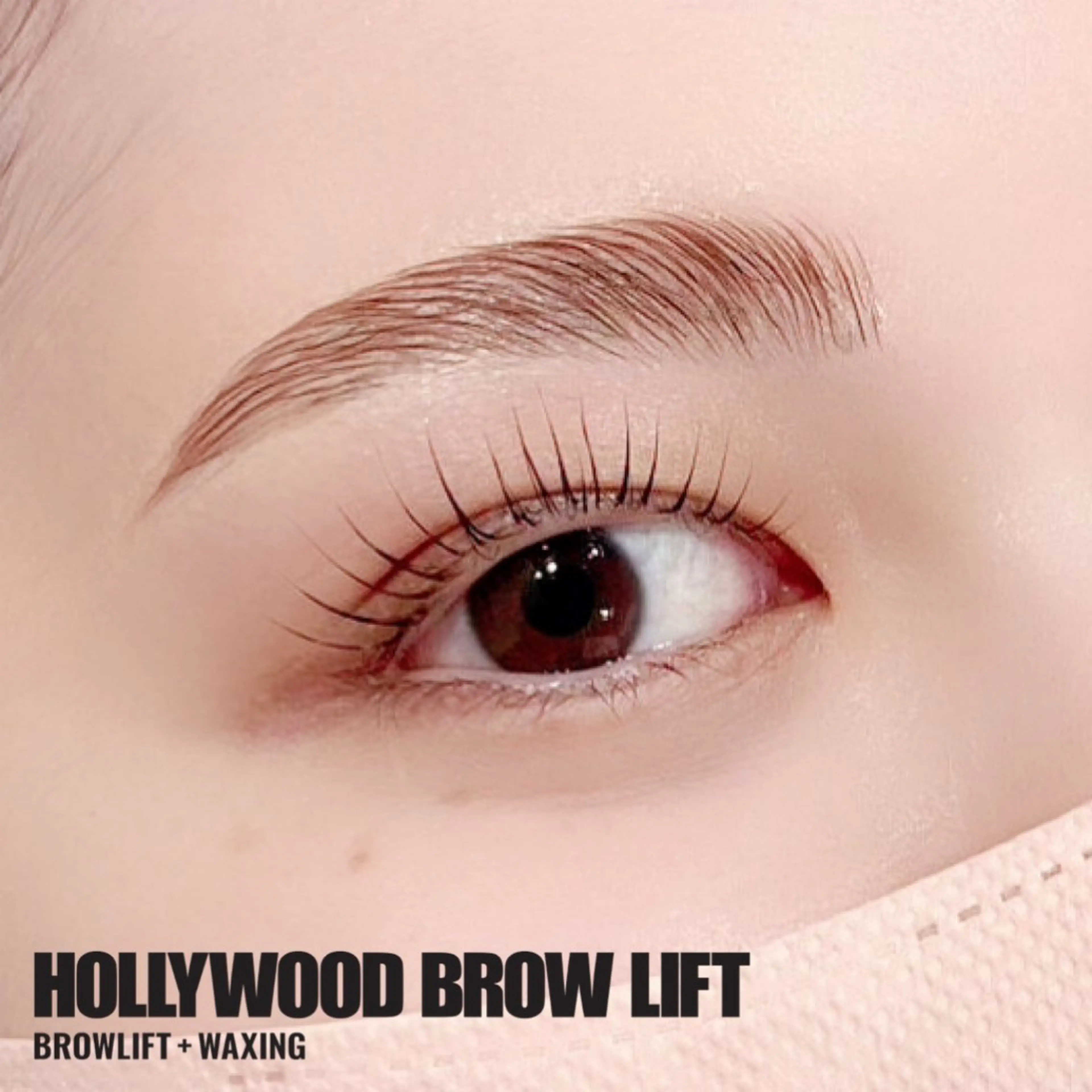 アイブロウ ハリウッドブロウリフト EYE405 SAKURAのマツエク・マツパデザイン