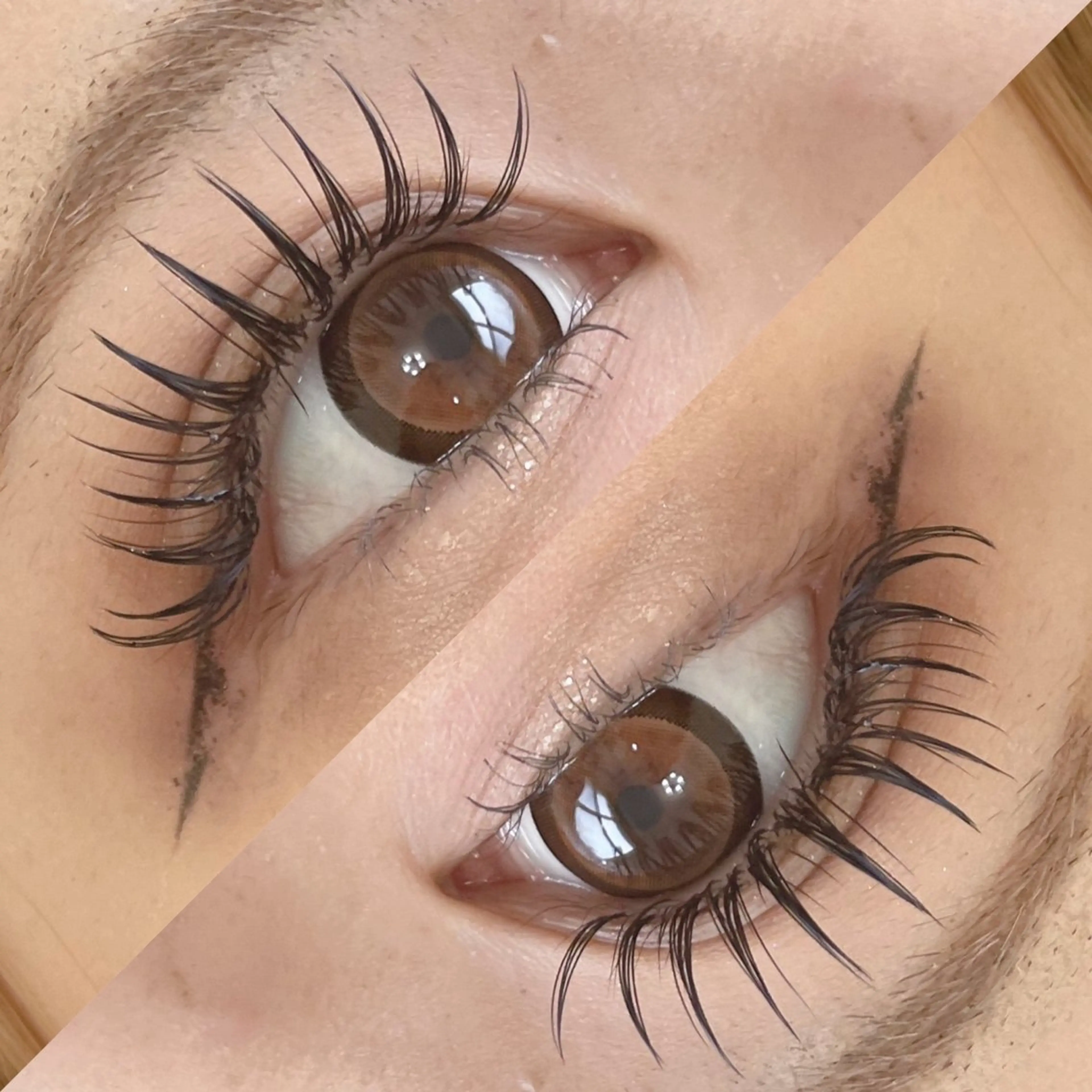 【密着率、着け心地No,1 】フラットラッシュ120本の写真