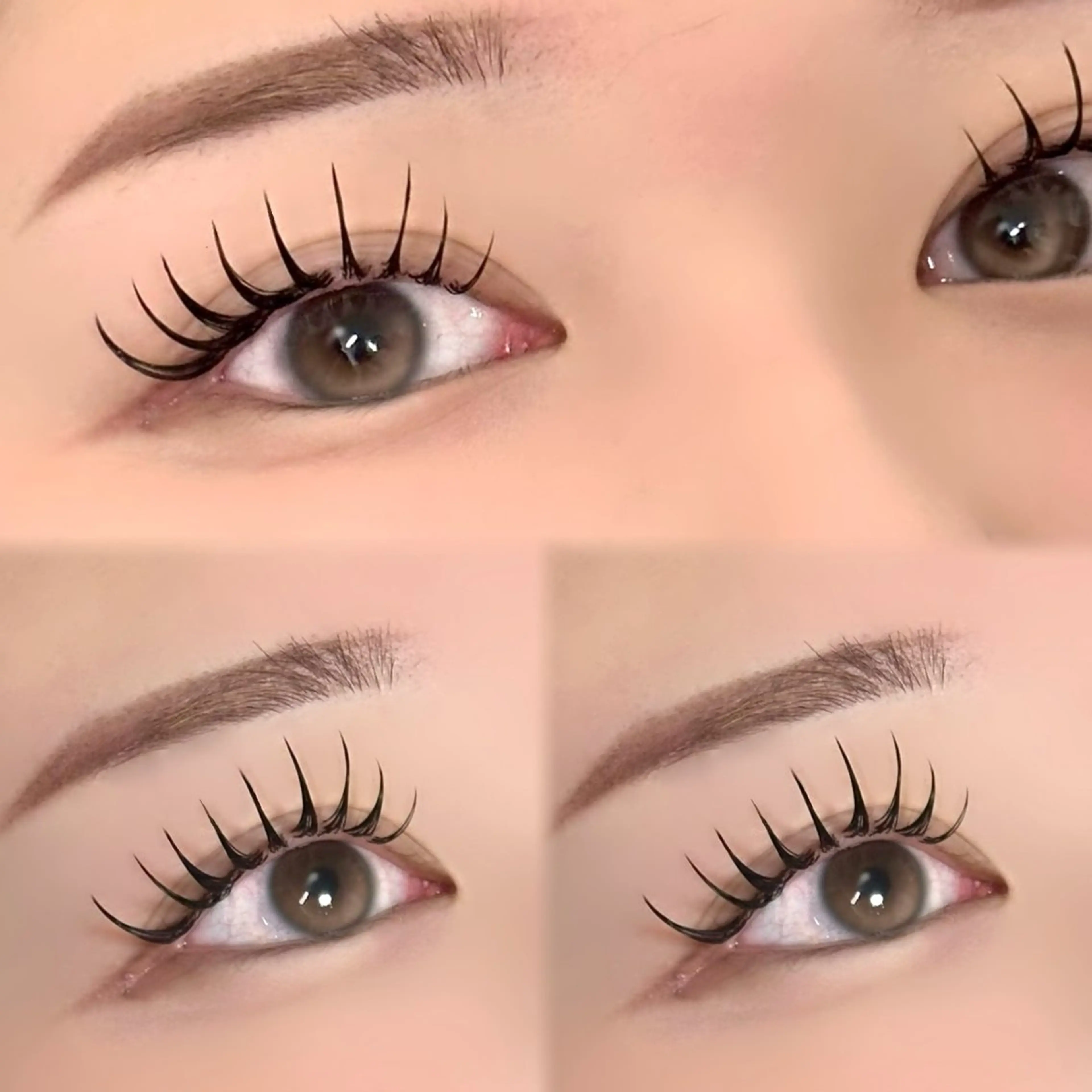 マツエク・マツパ 付け放題 フラットラッシュ Rz_ （ﾘｽﾞ）のマツエク・マツパデザイン