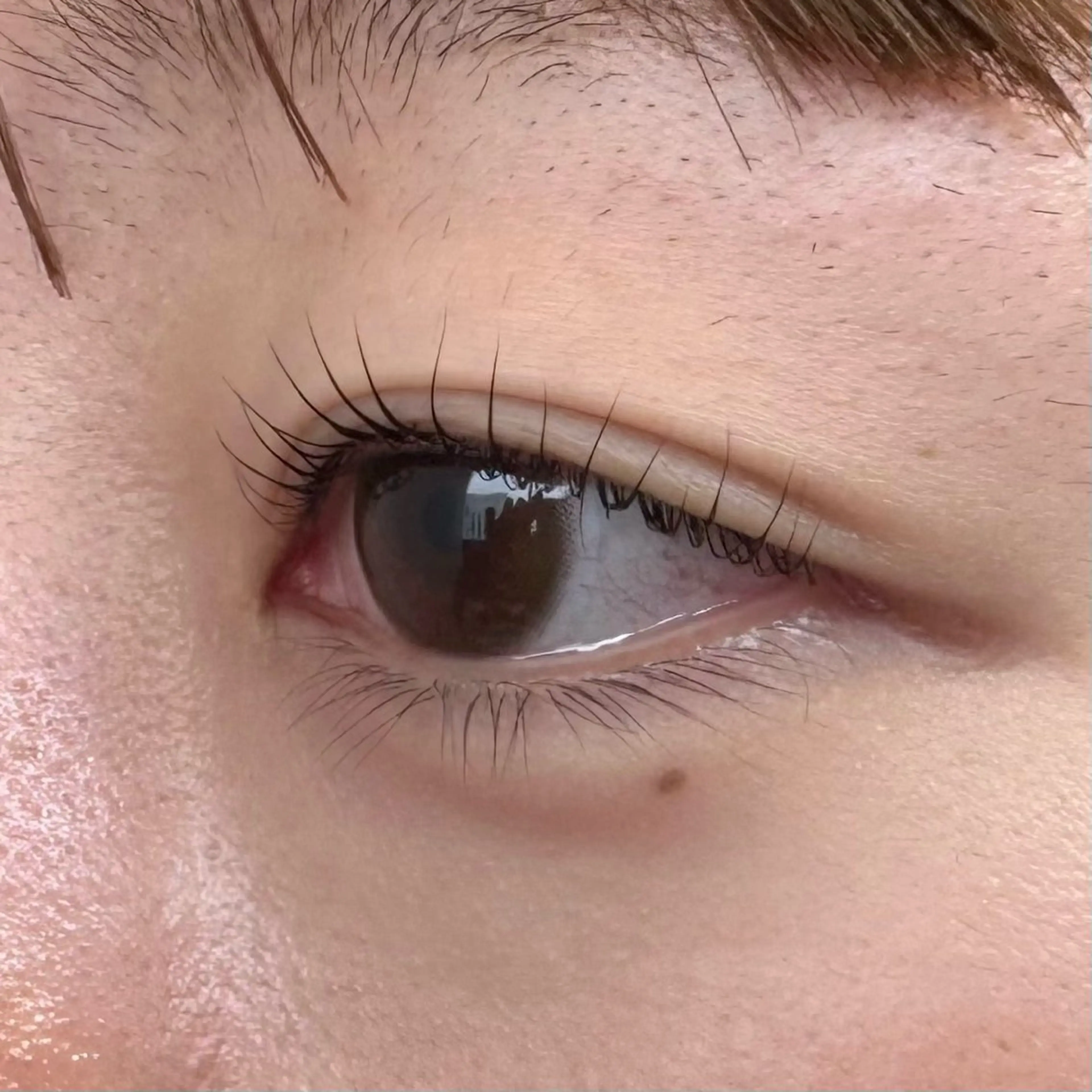 マツエク・マツパ マツパ EYELA 小針店 神子島の眉毛・アイブロウイメージ