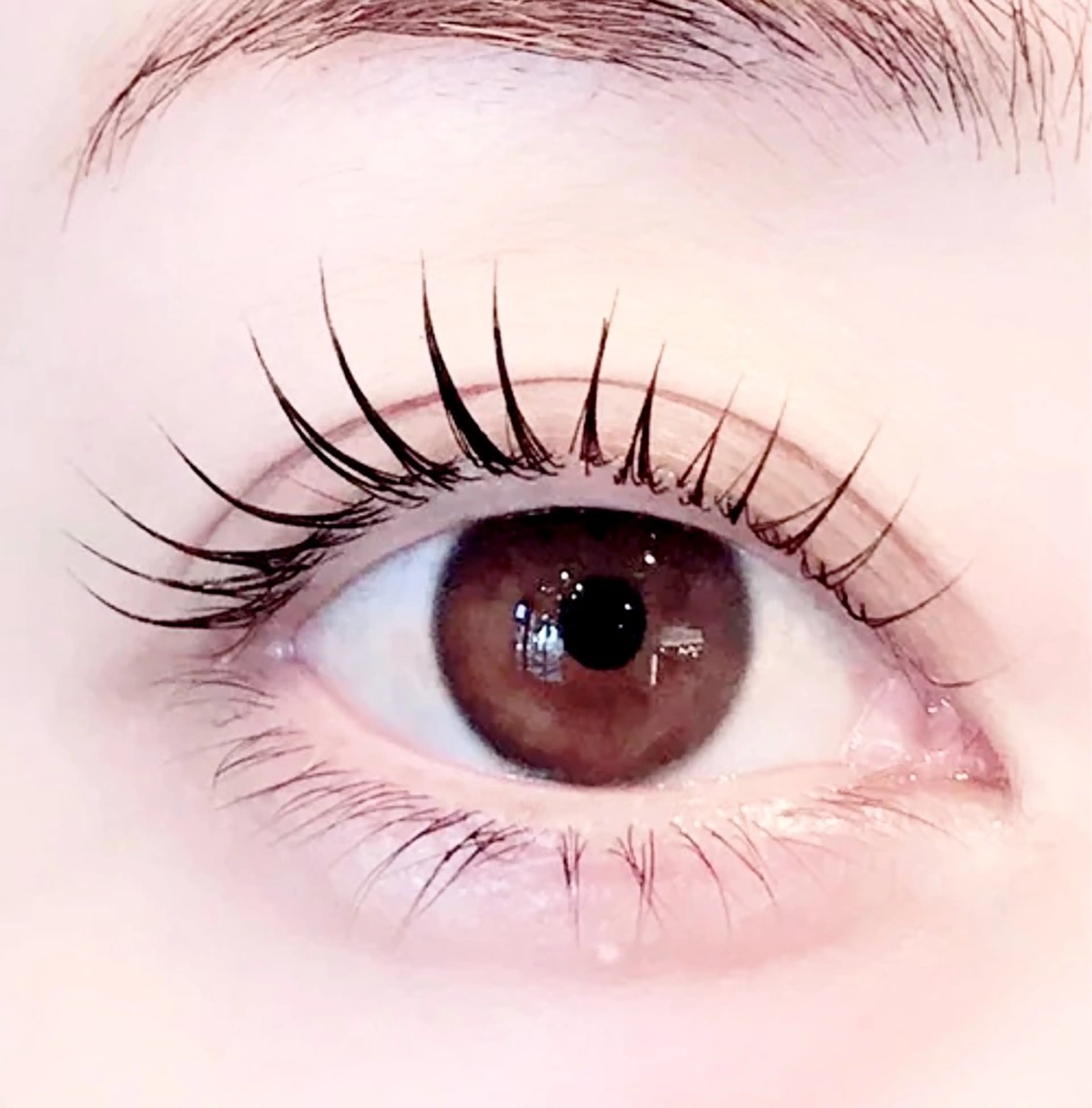 マツエク・マツパ まつげパーマ バインドロック🦋 アンドヘルシーのマツエク・マツパデザイン