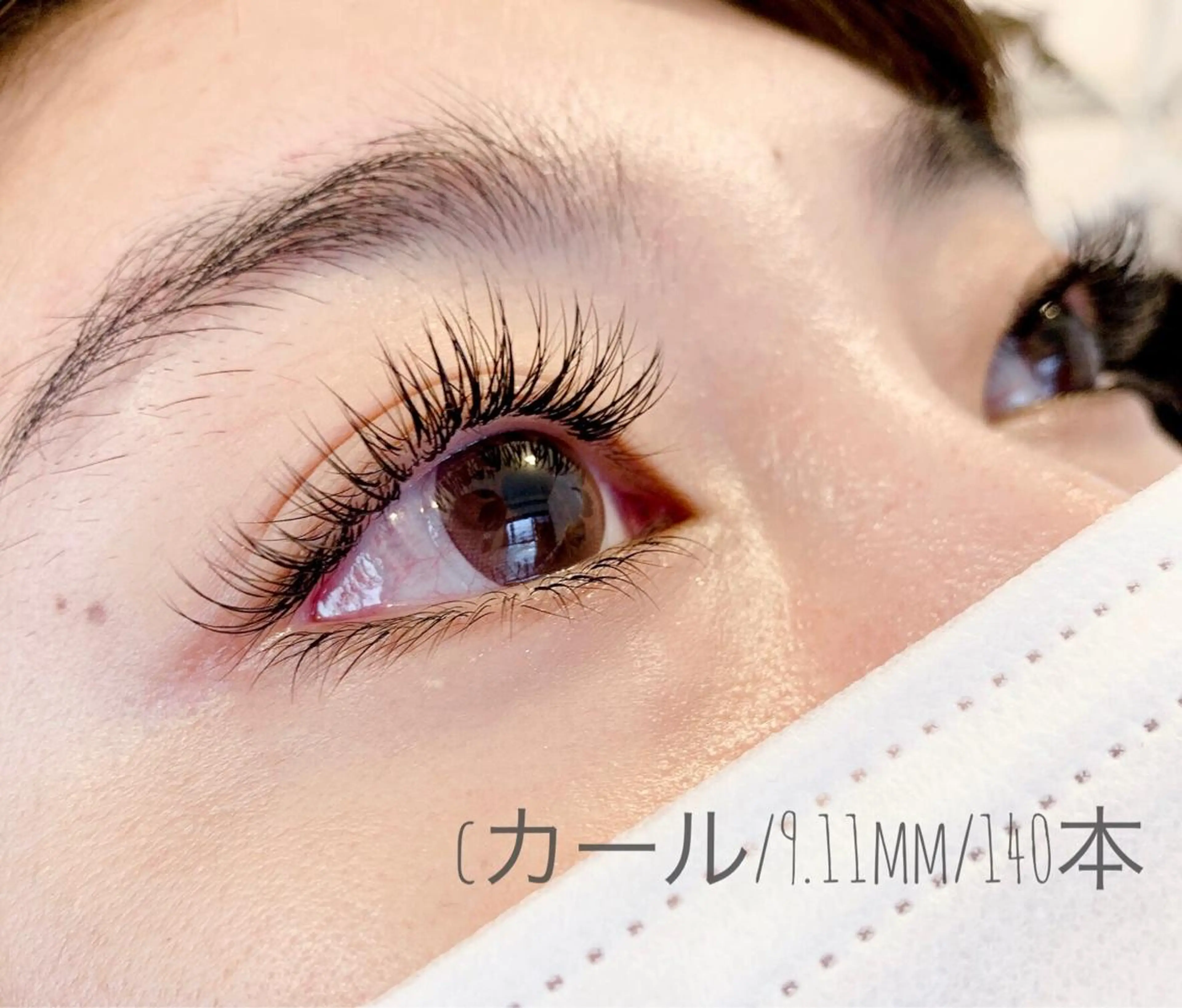 セーブル 80本の写真