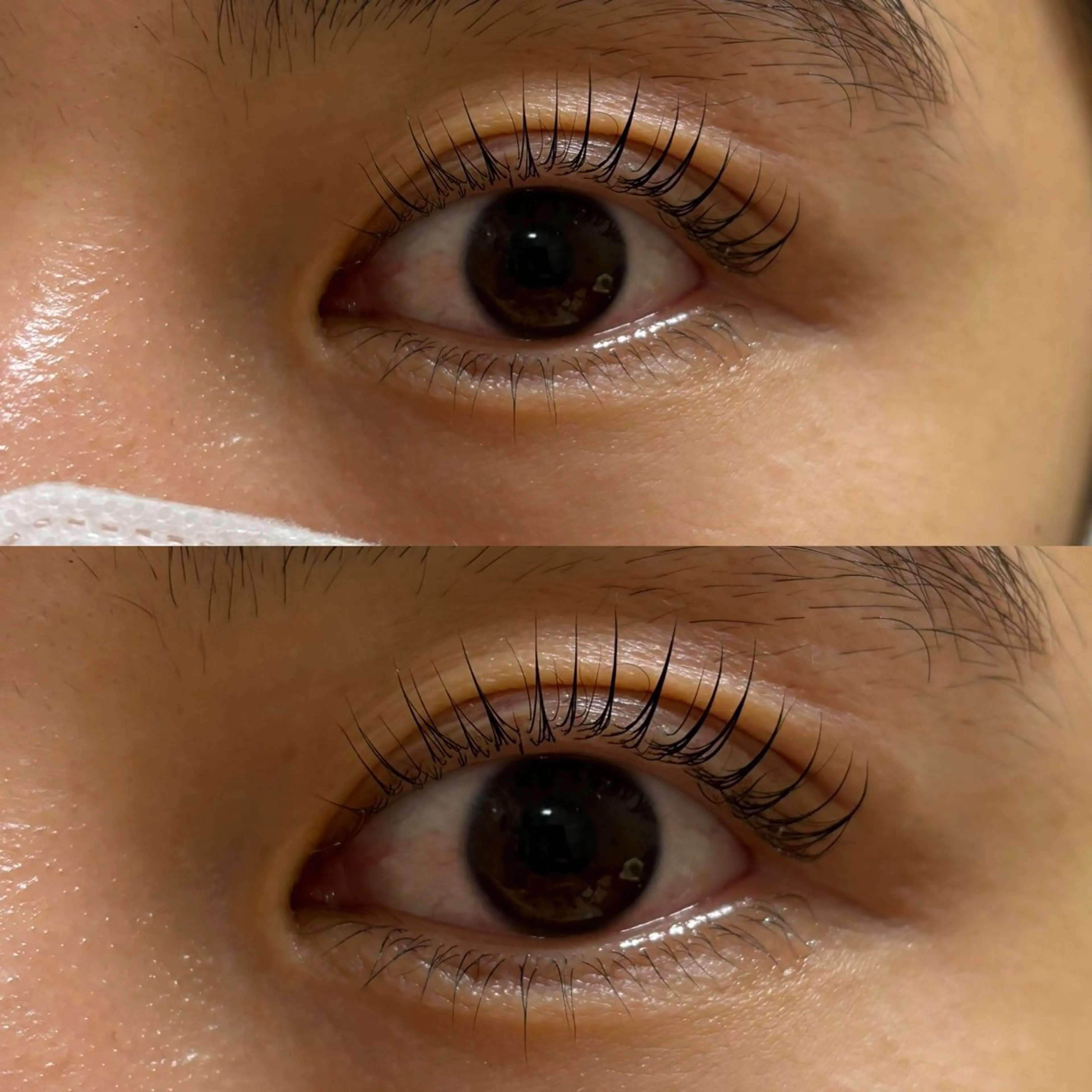 マツエク・マツパ G LUX 清水のマツエク・マツパデザイン