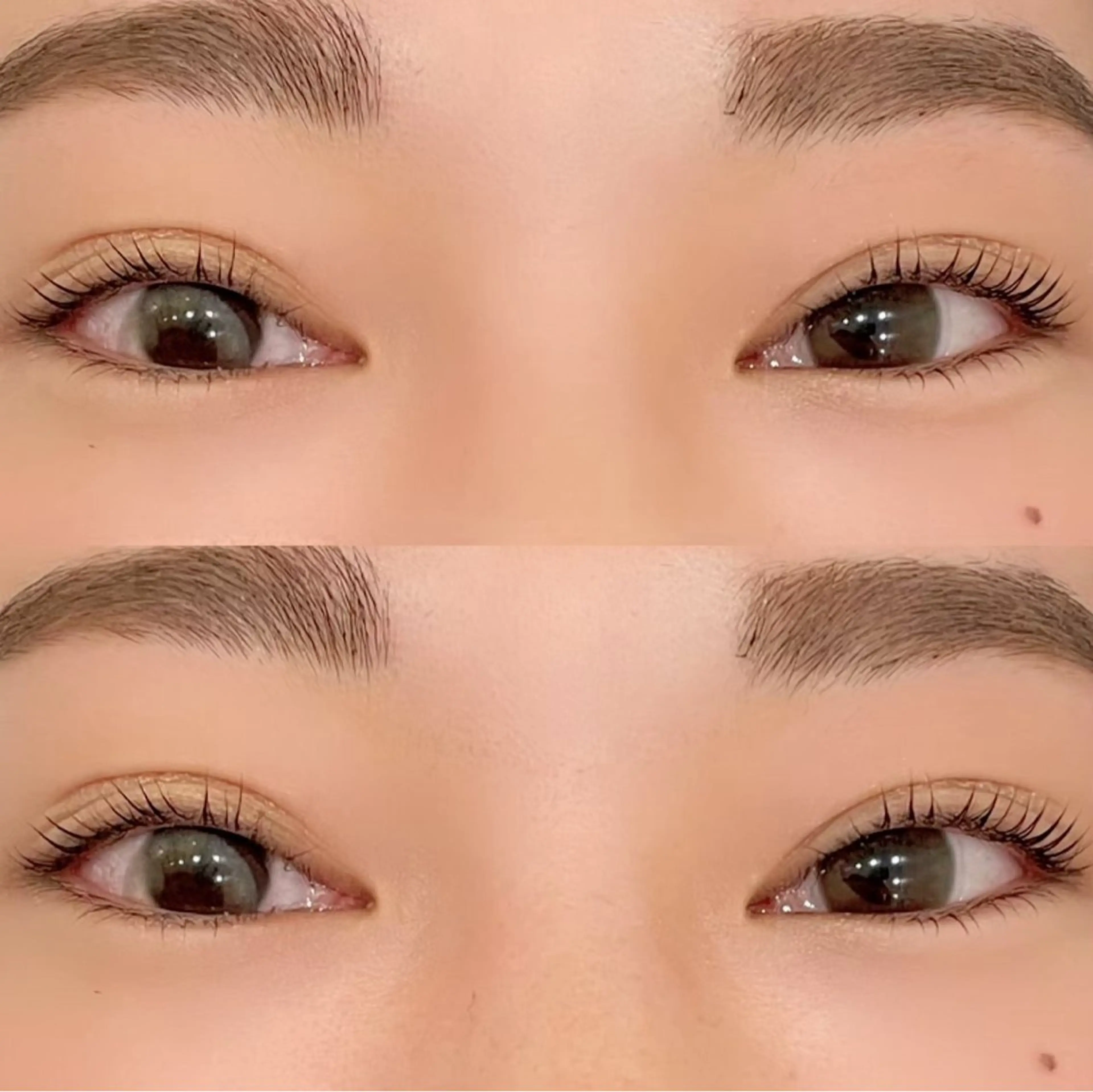 当日限定！まつげパーマ＆アイブロウWAXメイク無し🤎同時施術でお得です🉐の写真