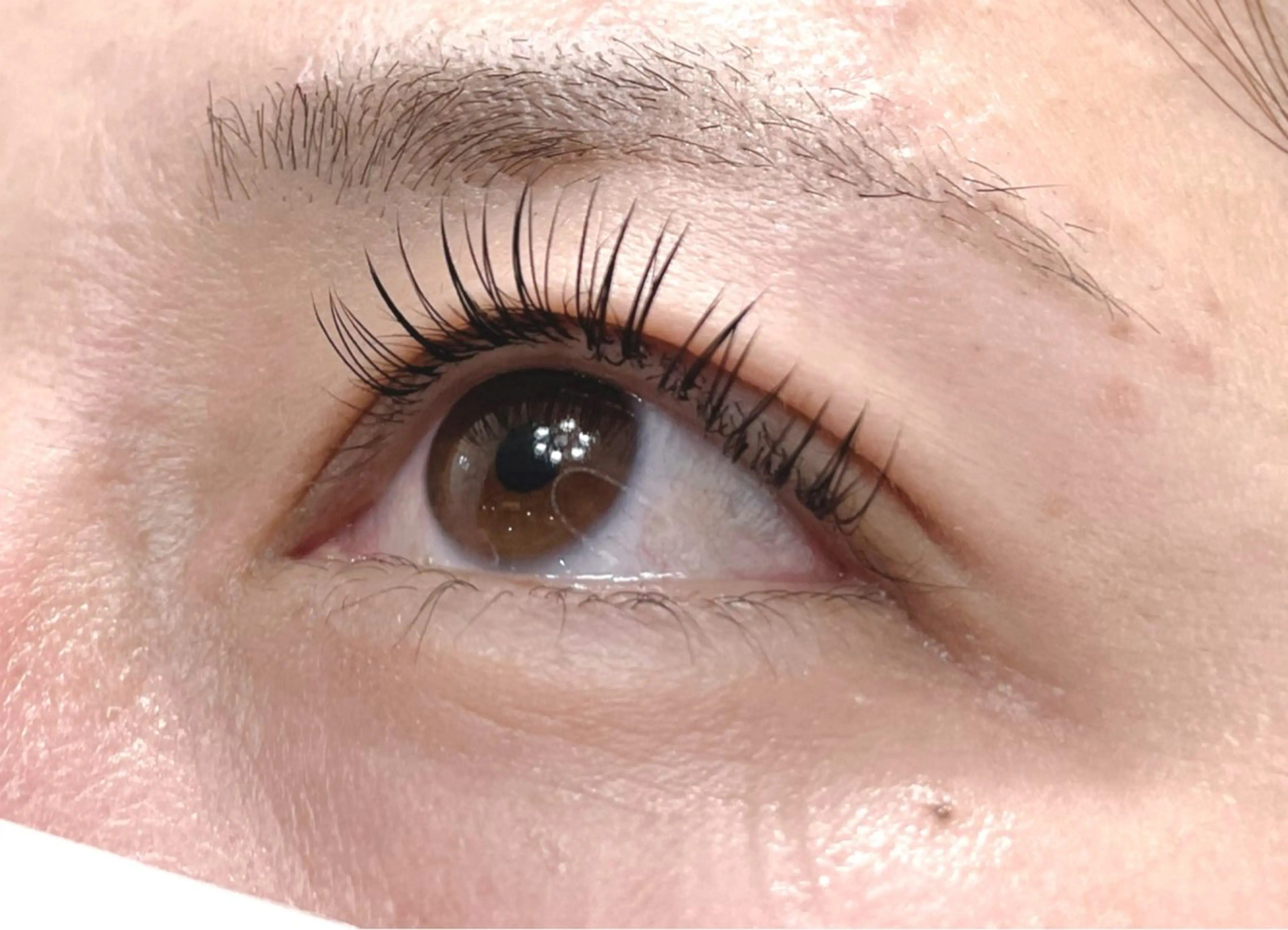 マツエク・マツパ Cカール キュート マツエク 佐々木 朱葉のマツエク・マツパデザイン