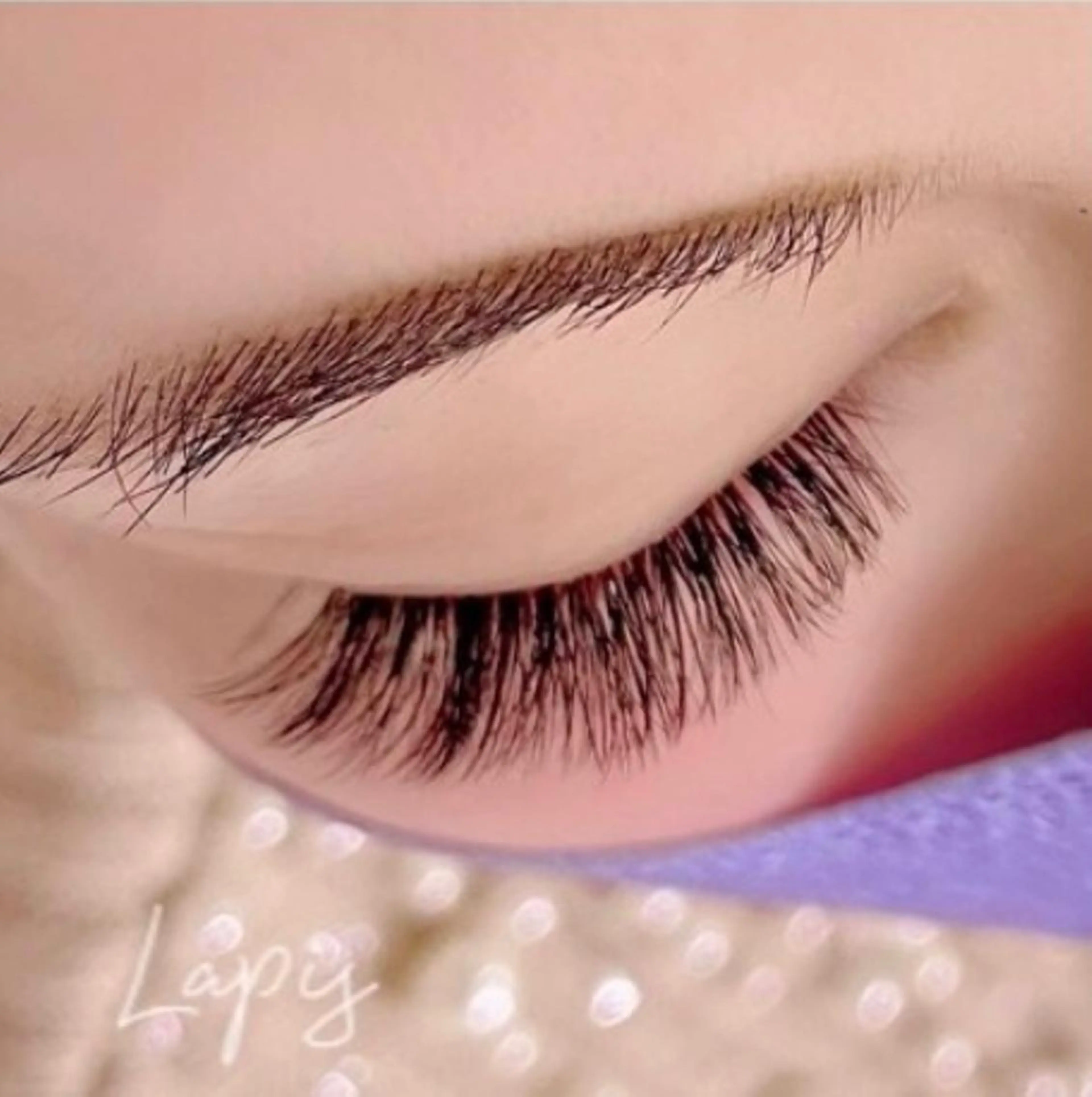 5Dボリュームラッシュ  500本（オフ無し）の写真