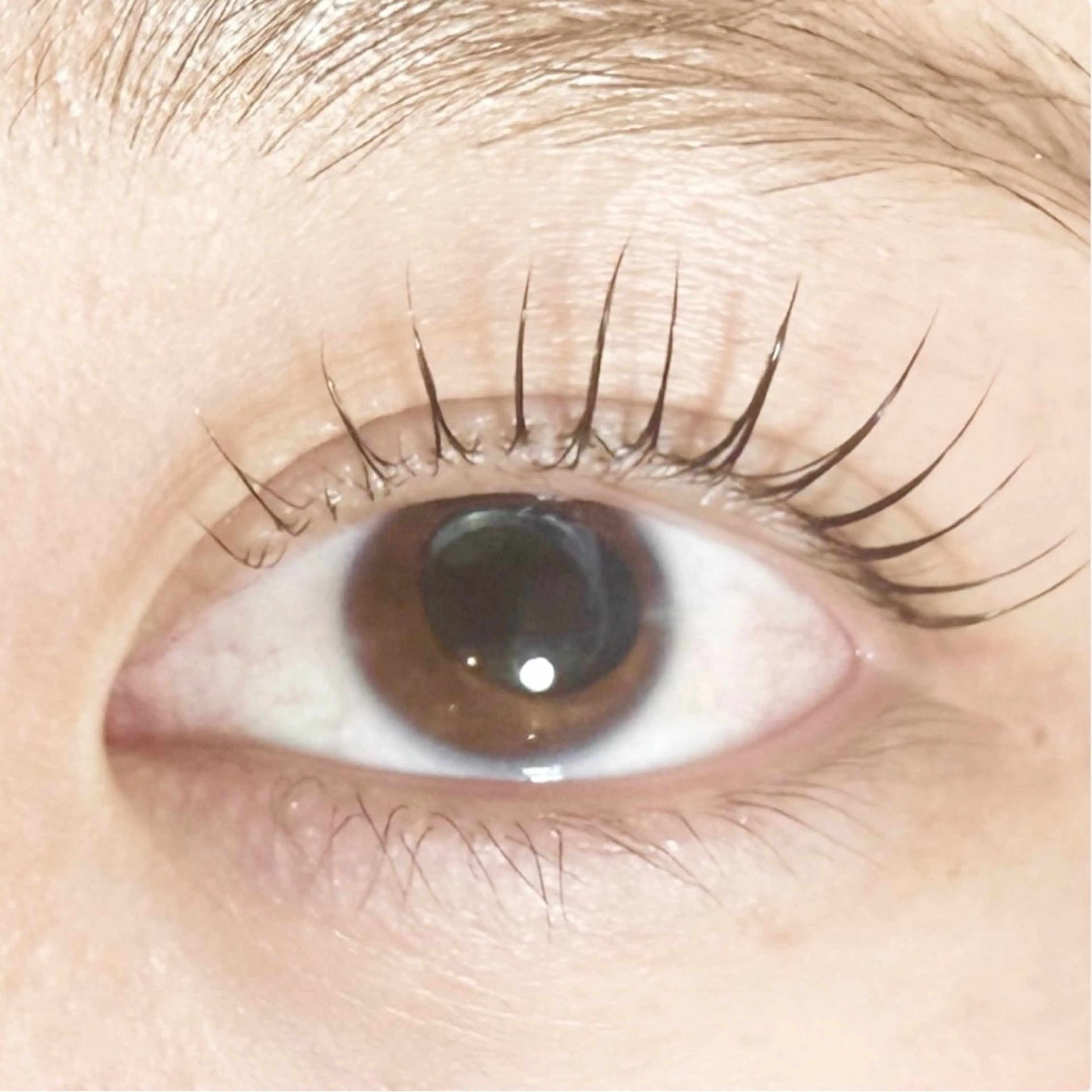 🩷まつ毛パーマ(上のみ)🩷⚠️現金不可の写真