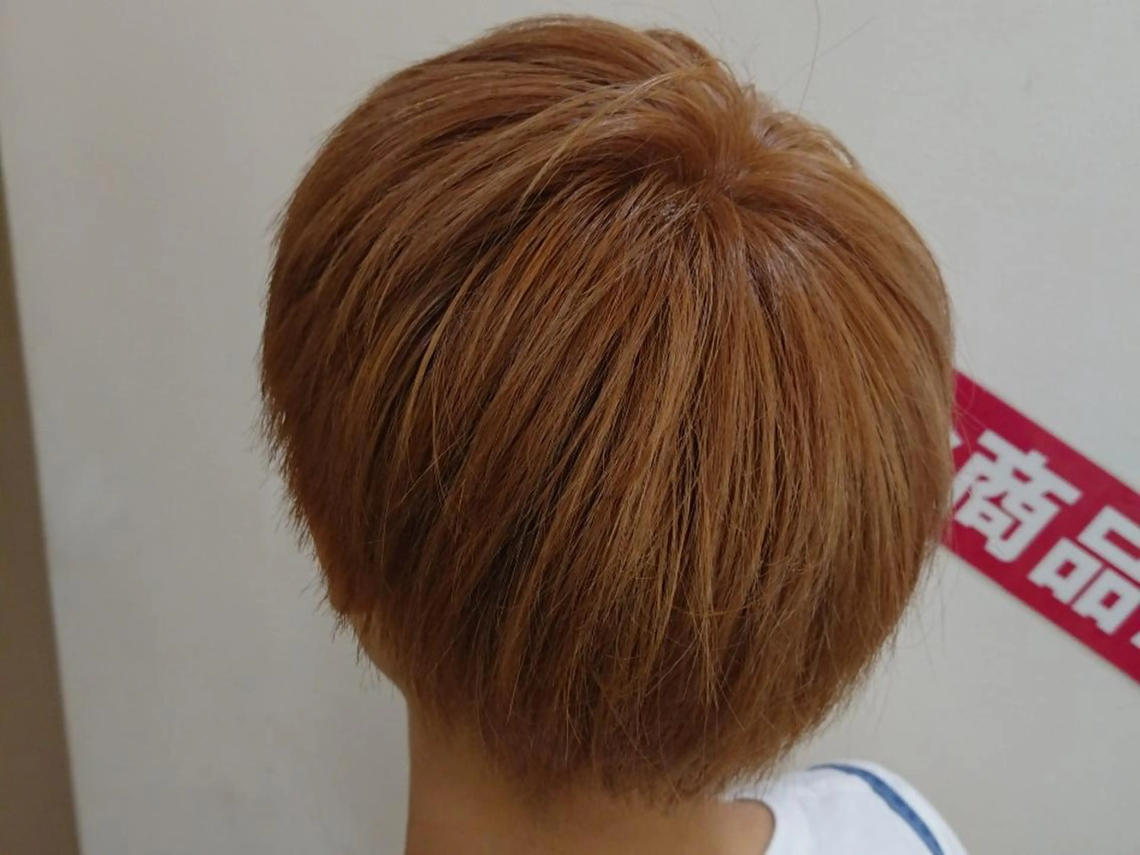 ショート カラー ベージュカラー デザインカラー/ 推しの配色　肥後のヘアスタイル