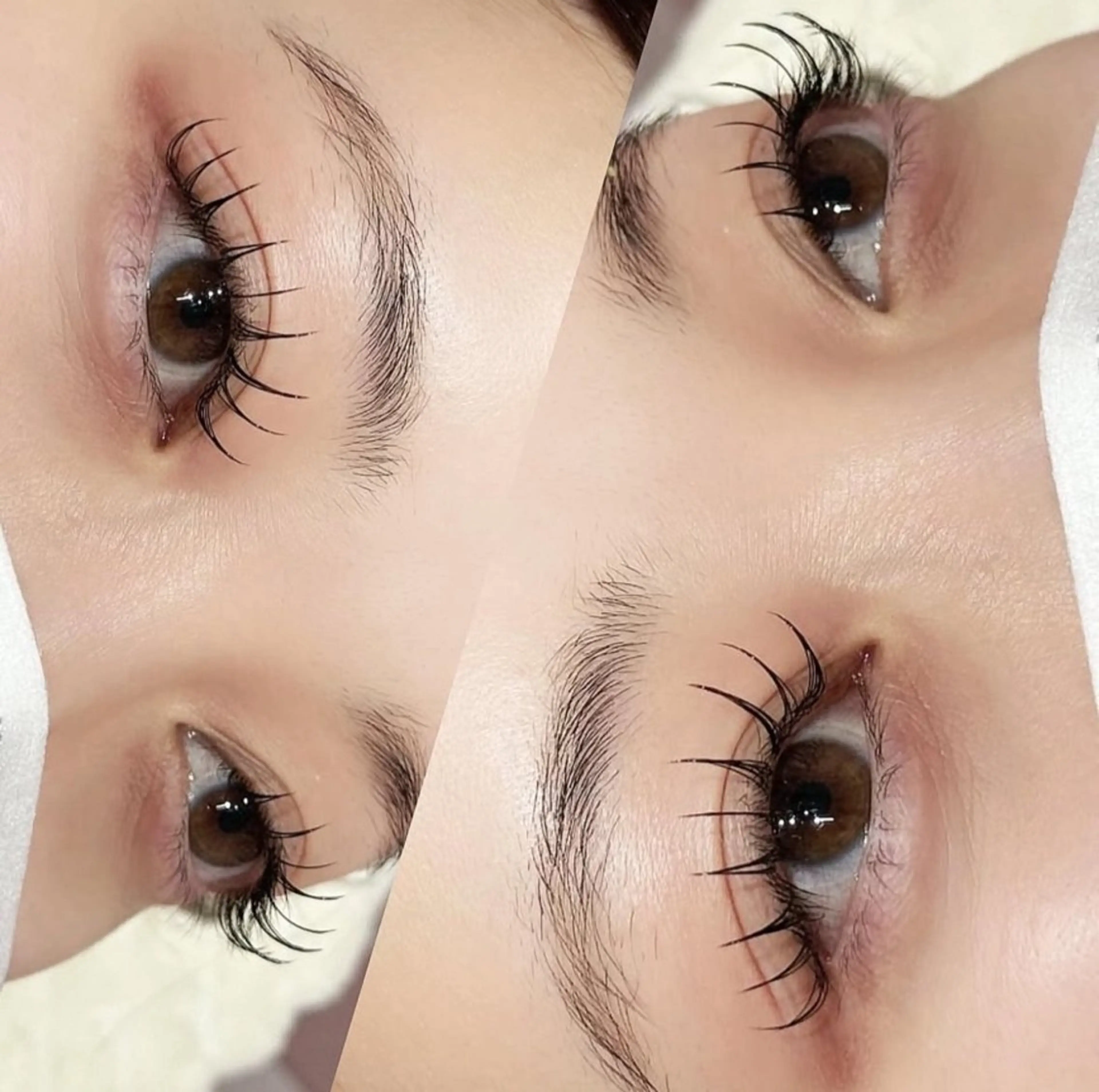 LEDマツエクシングルつけ放題【マツエクNo.1】の写真