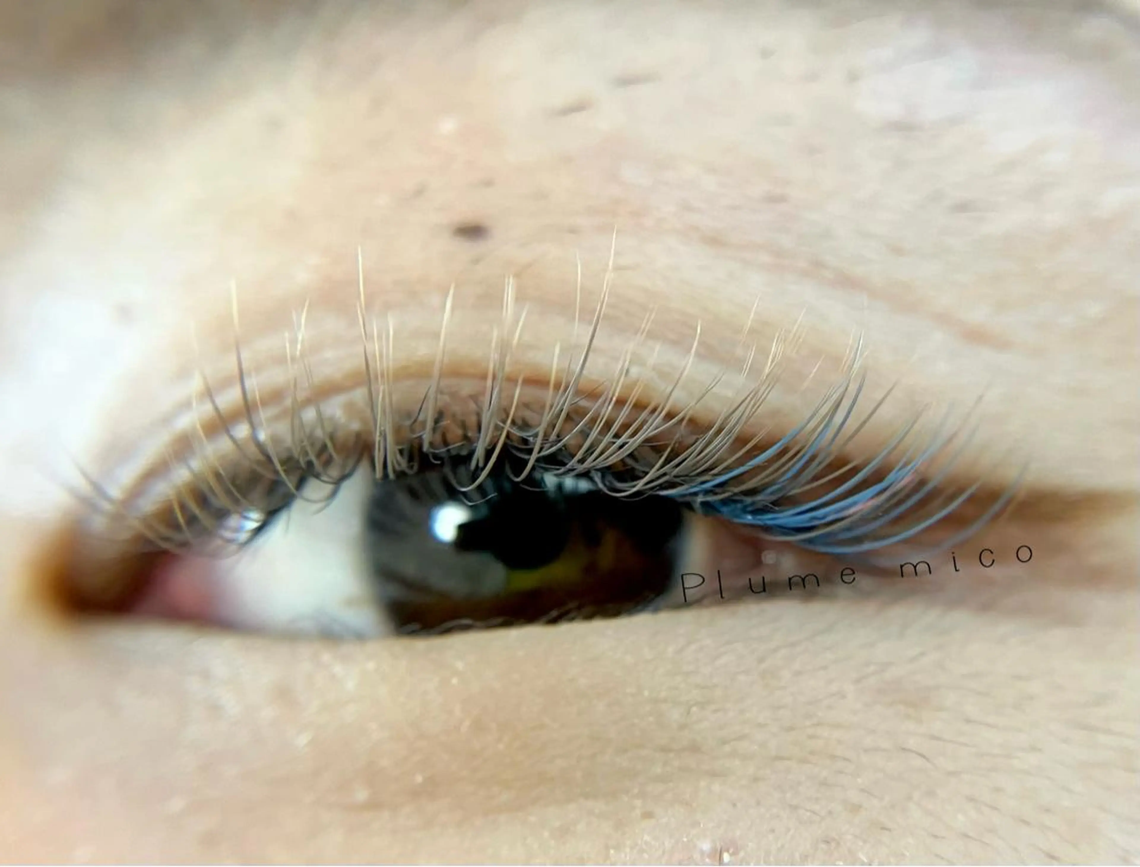 マツエク・マツパ マツエク Plume micoのマツエク・マツパデザイン