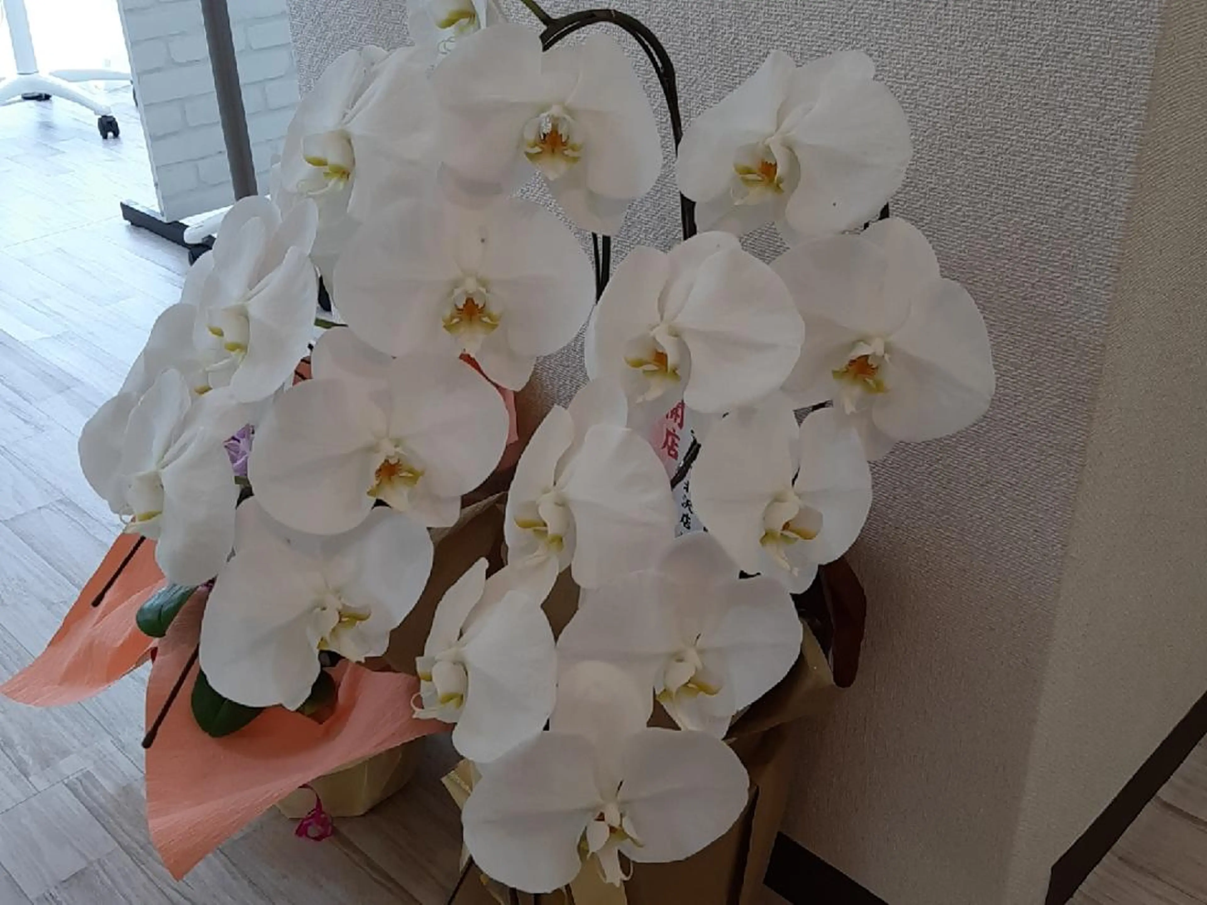 LOVE ホワイトニング下北沢のエステ・リラクイメージ