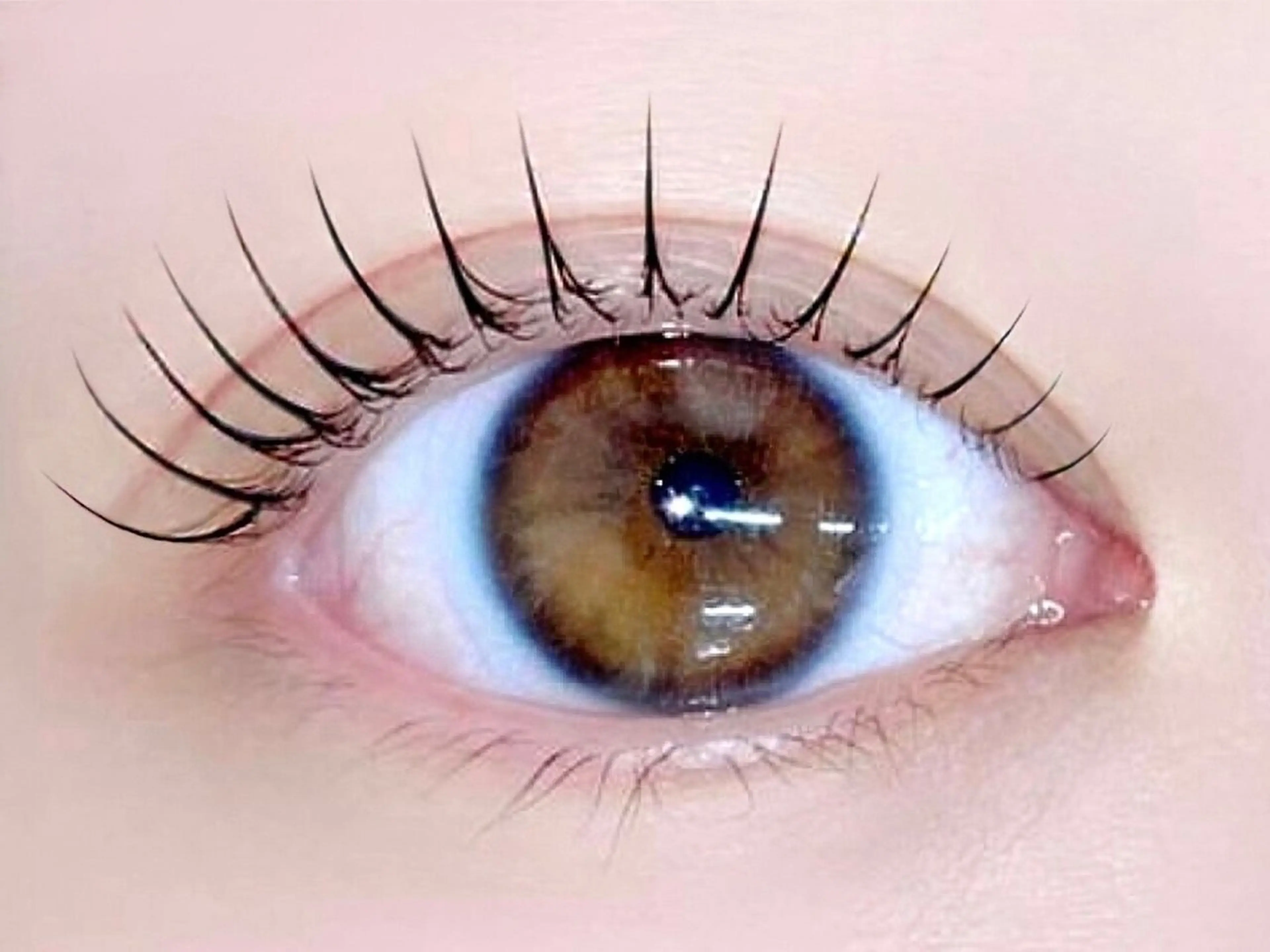 まつ毛パーマ👀🪄➰⭐️の写真