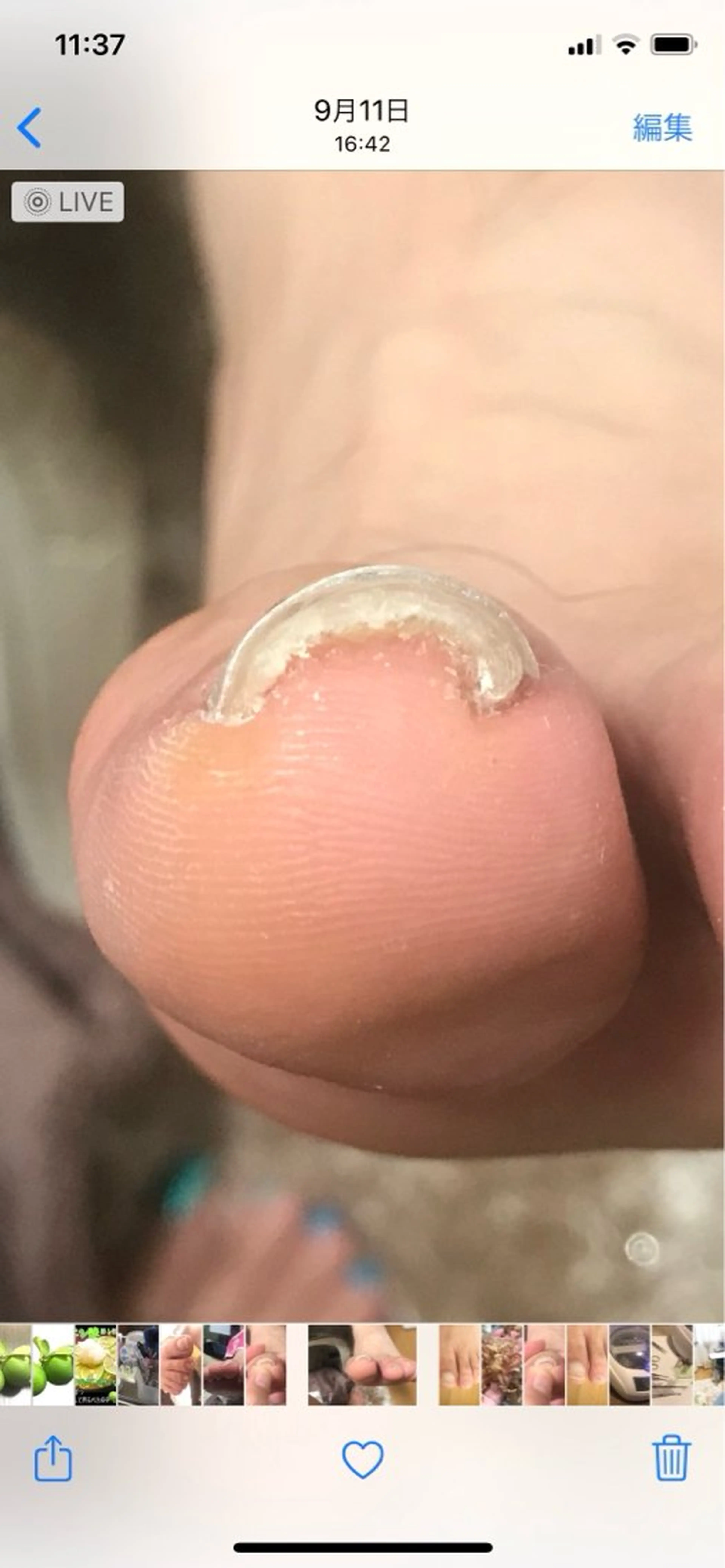 ネイル すこやかネイルサロン めぐのネイルデザイン
