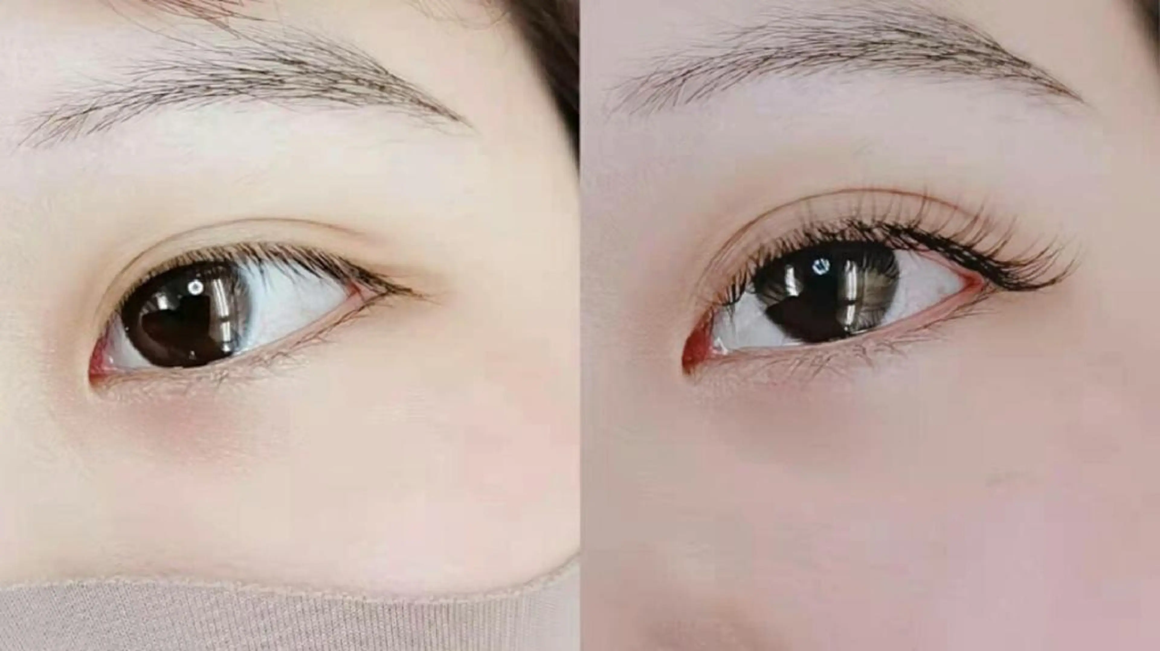 マツエク・マツパ 胡蝶蘭レディースサロ ン眉マツパエクステの眉毛・アイブロウイメージ