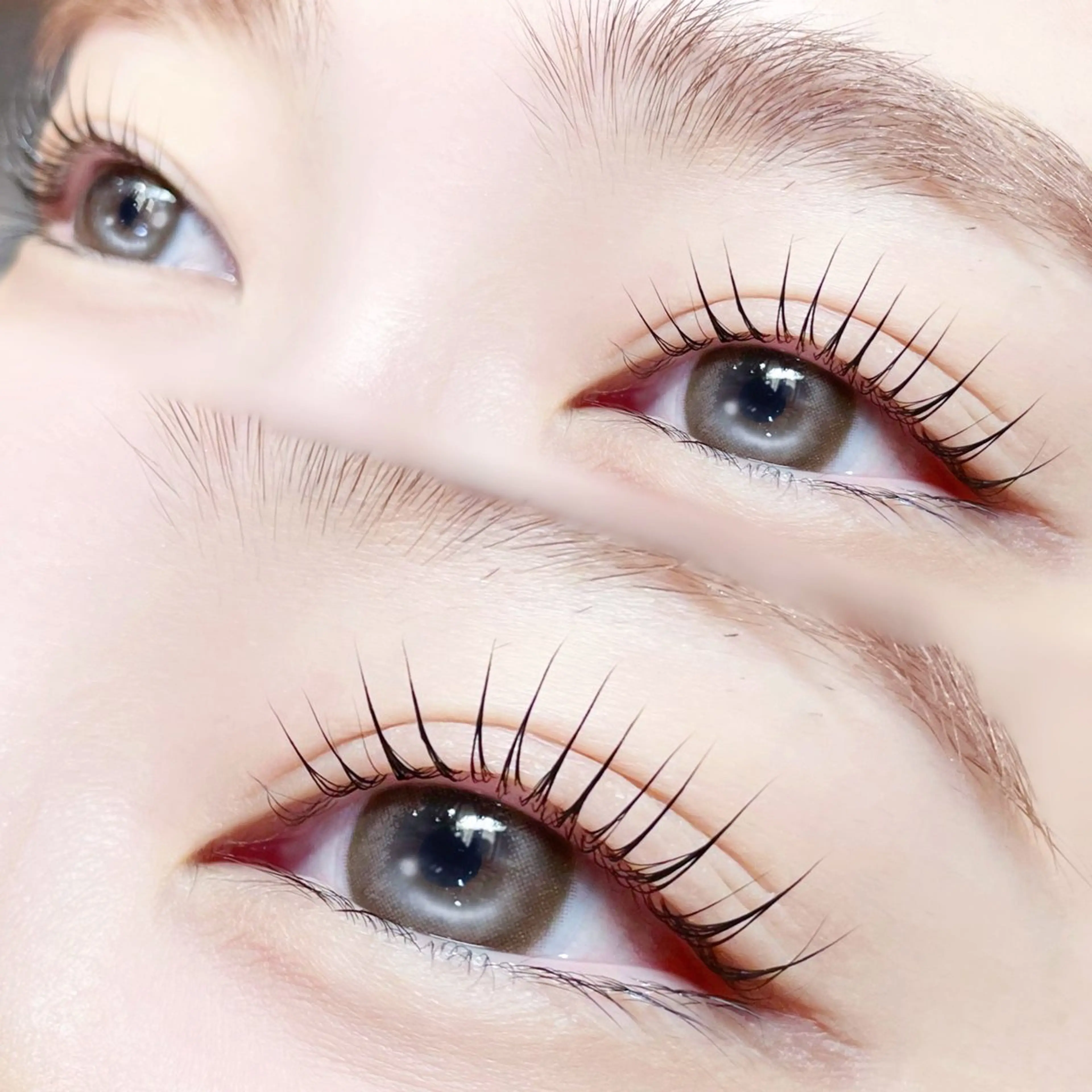 マツエク・マツパ パリジェンヌラッシュリフト eyelist🎀 FUCHIWAKIのマツエク・マツパデザイン