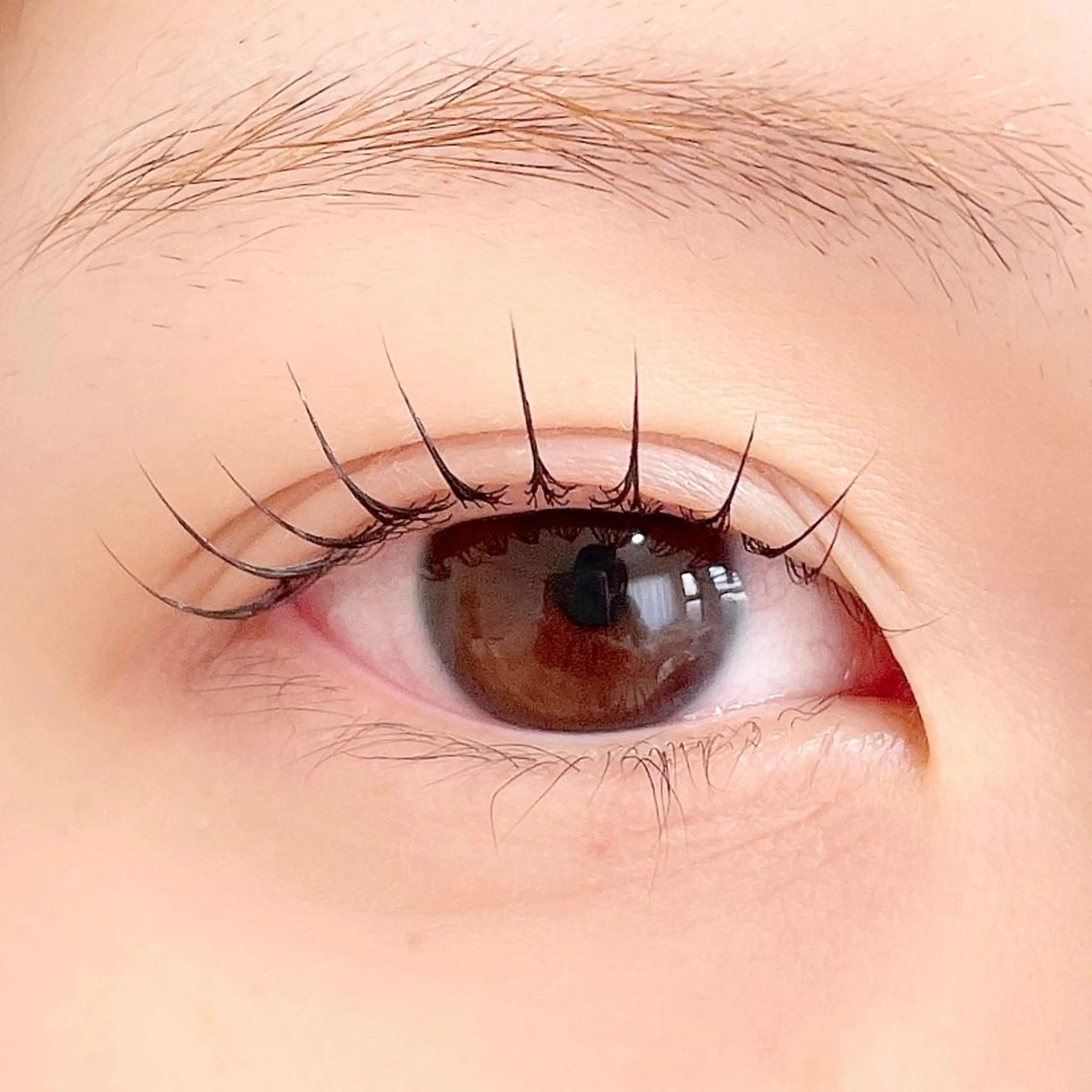 マツエク・マツパ ant_u🌷 arisaのマツエク・マツパデザイン