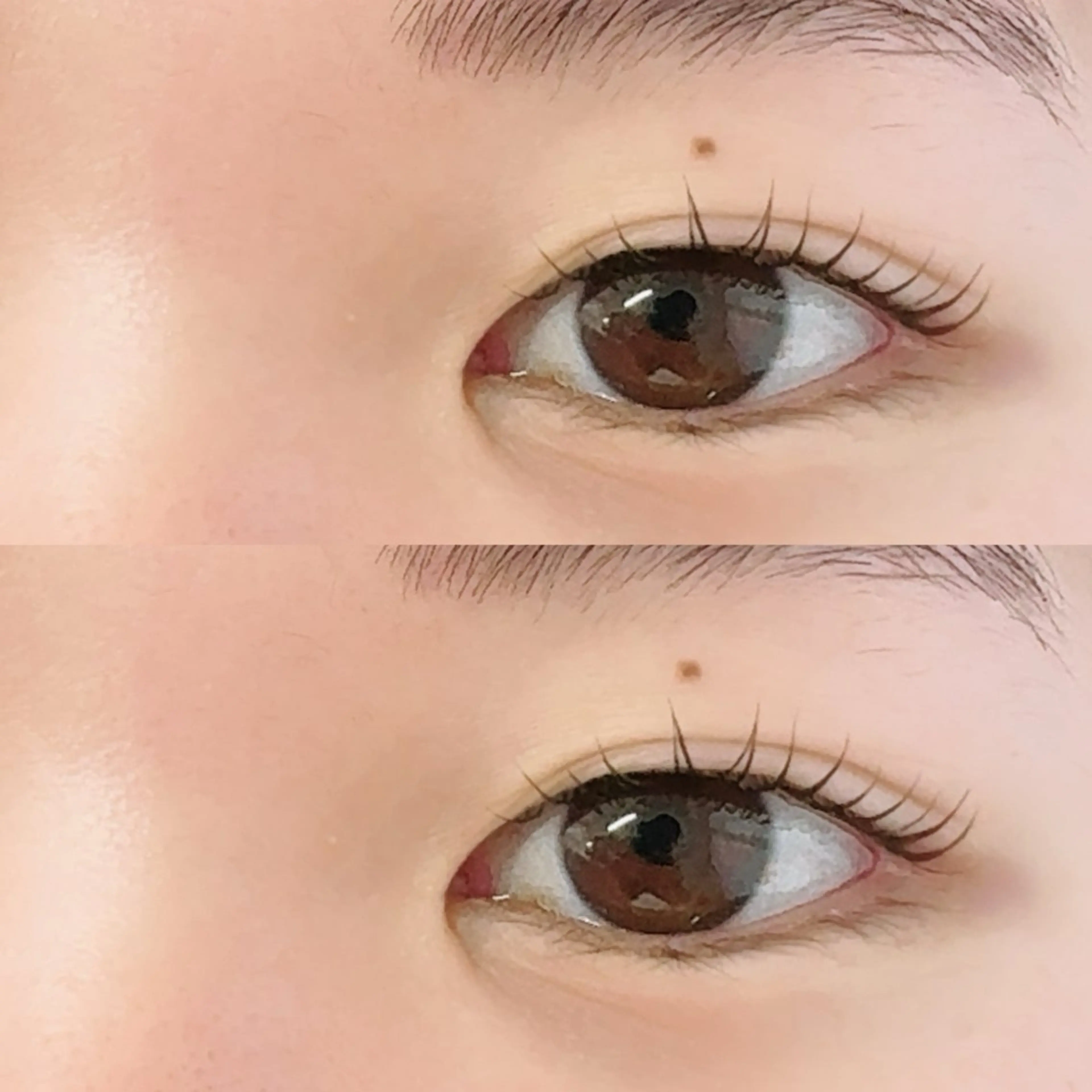 【リピーター様】🖤まつ毛パーマ🖤の写真