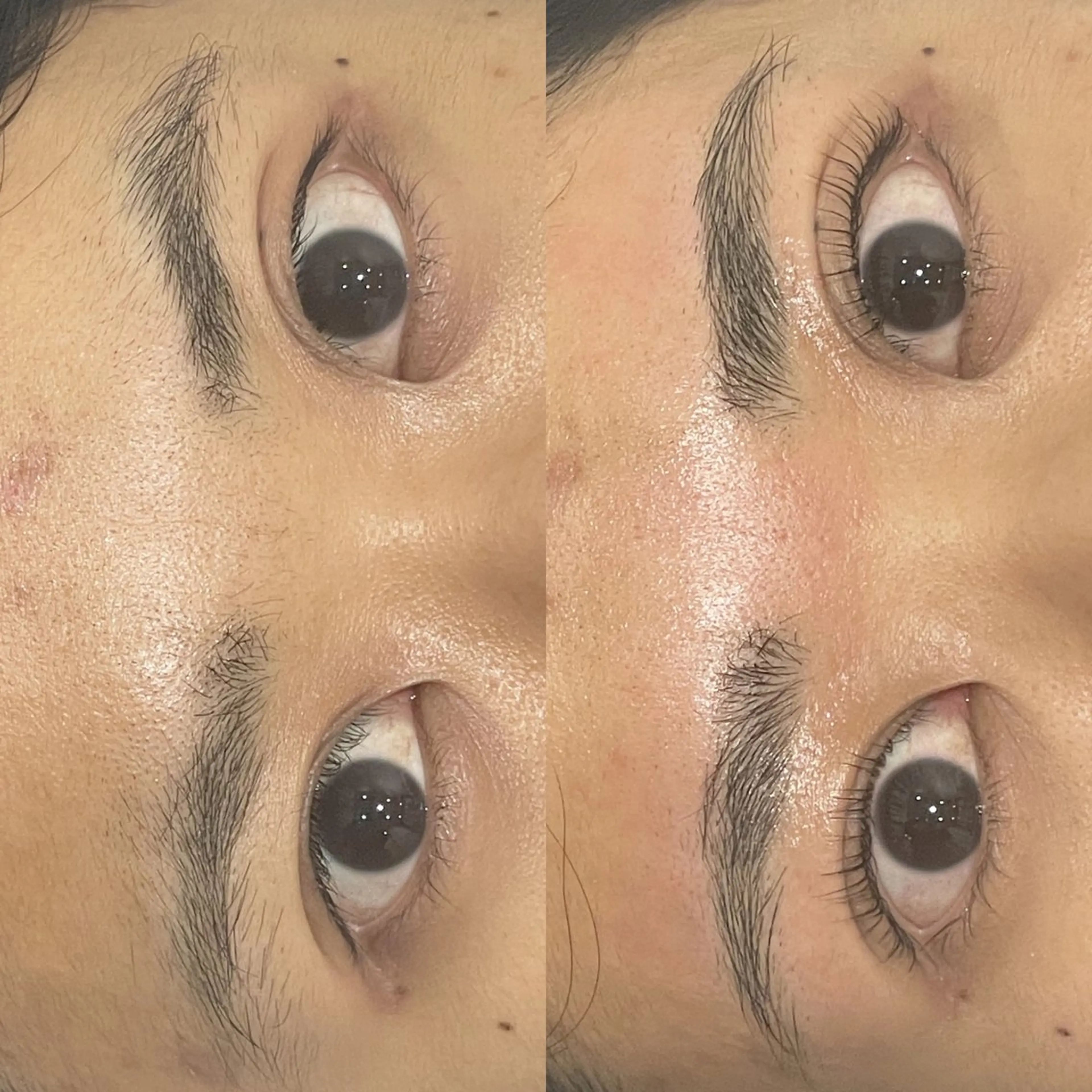 ❕SETクーポン❕【まつげパーマ👀➕ハリウッドブロウ🦋】の写真