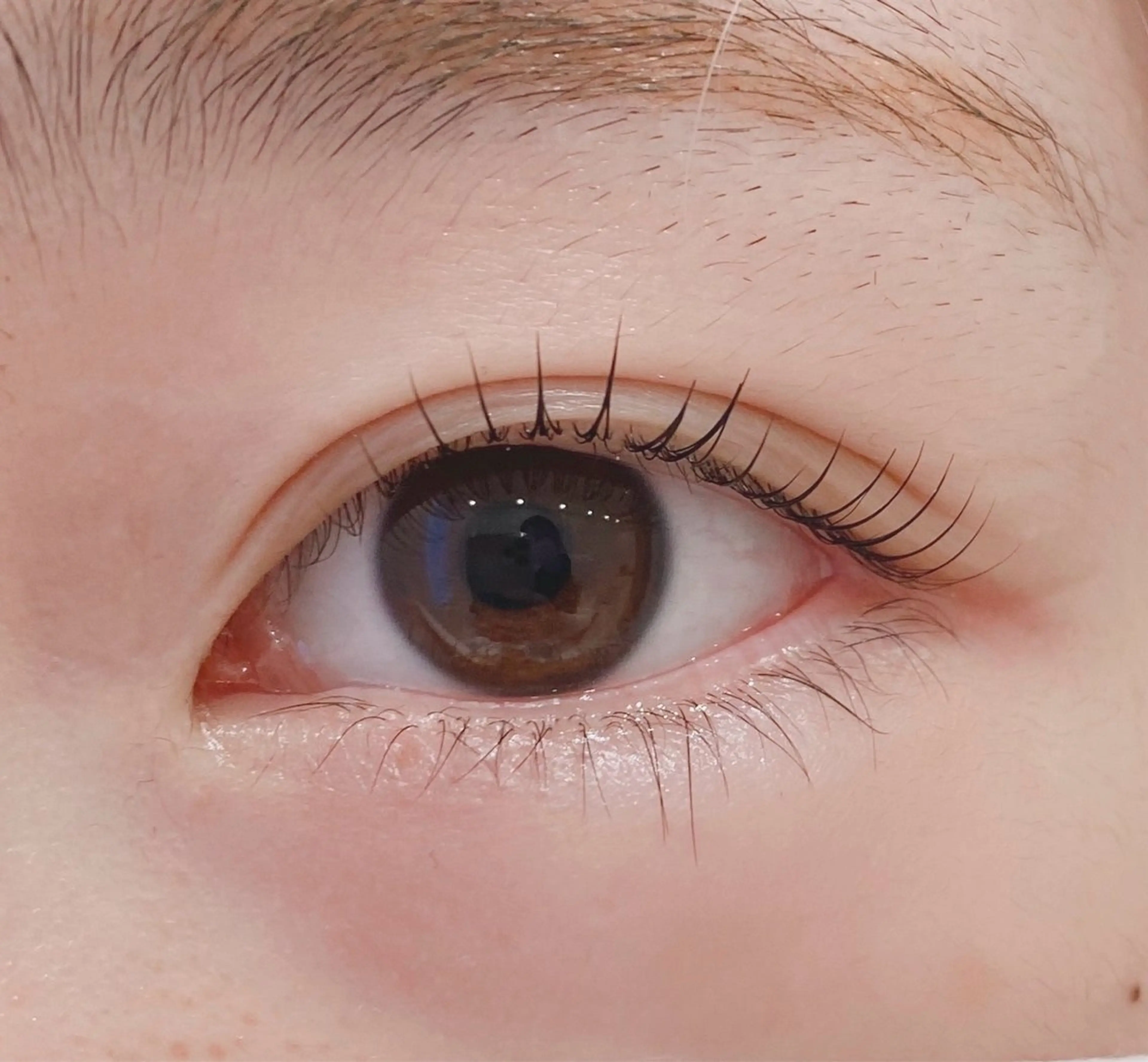 マツエク・マツパ eyelash　Reef所属・aya .のマツエク・マツパデザイン