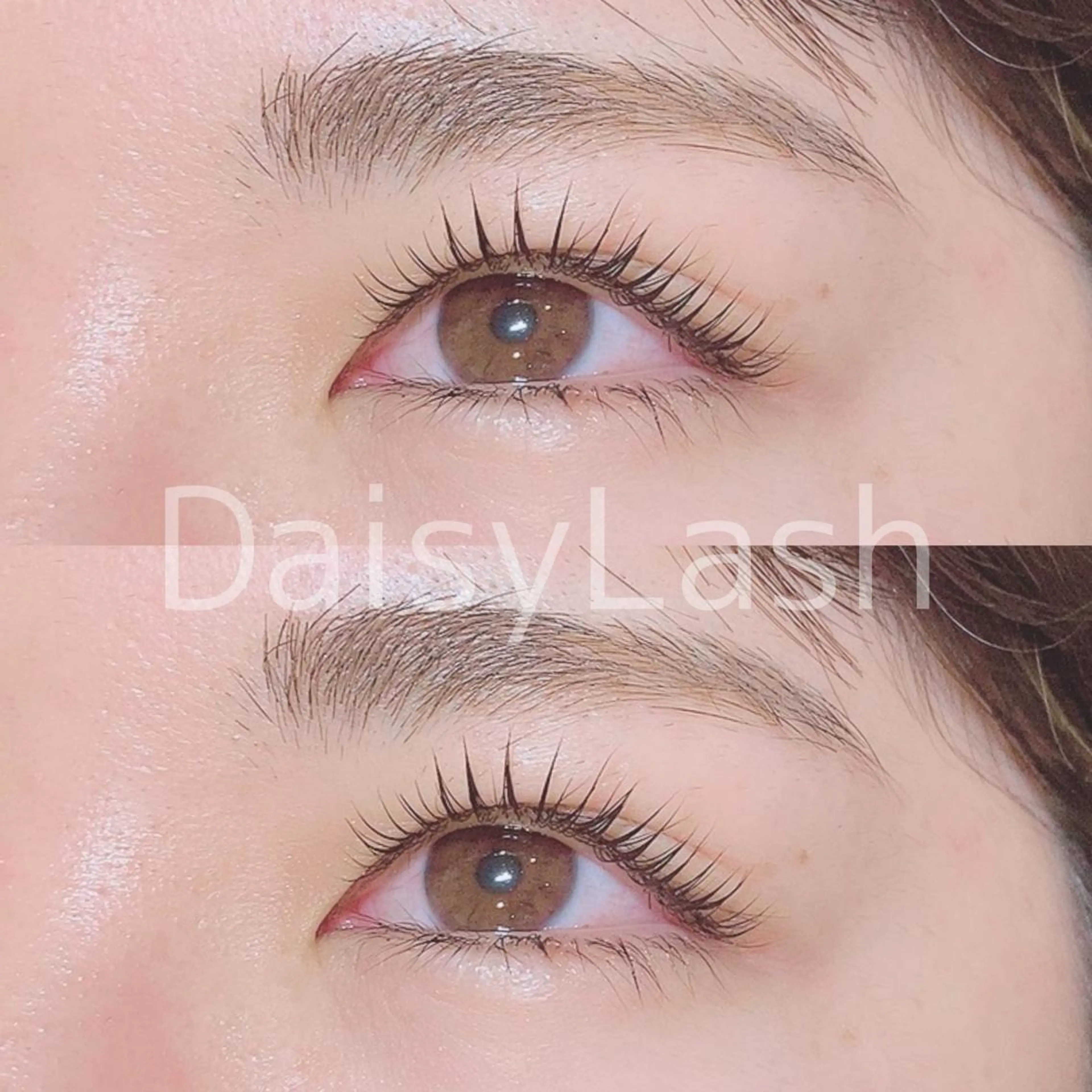 マツエク・マツパ DaisyLash 京橋店のマツエク・マツパデザイン