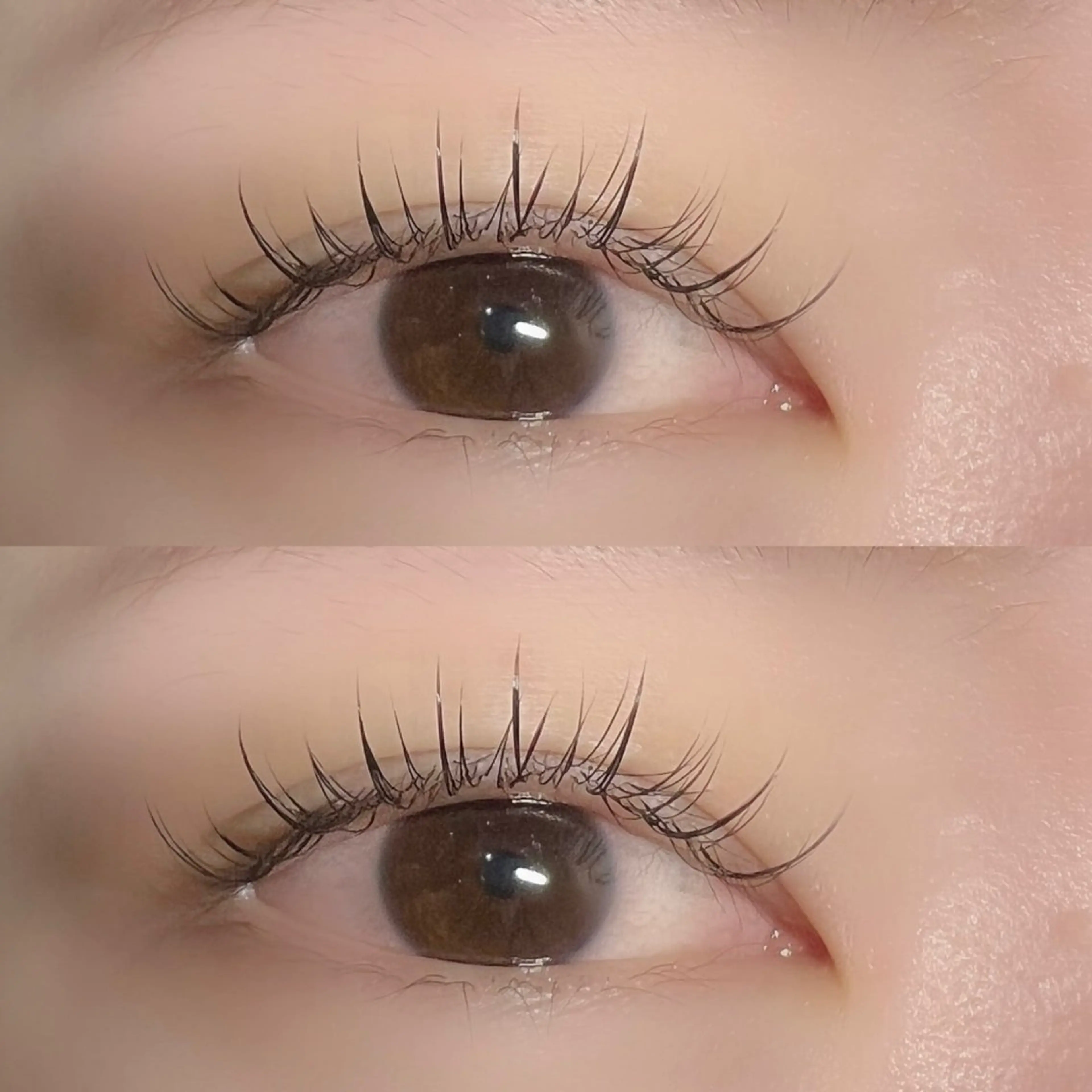 マツエク・マツパ Roy心斎橋 寺口のマツエク・マツパデザイン