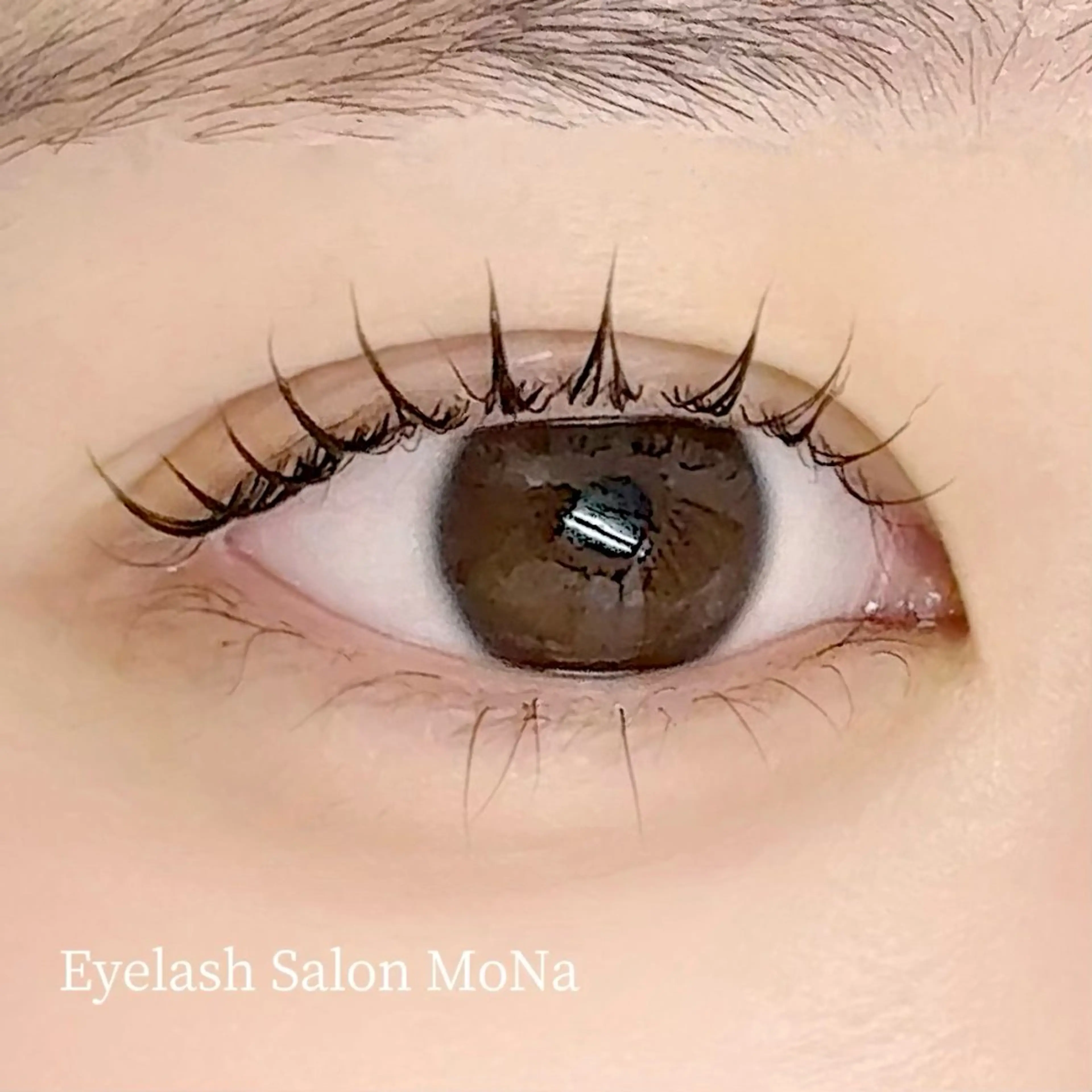 【ご新規様限定】まつ毛パーマ上🩵   ¥3,960✨️の写真