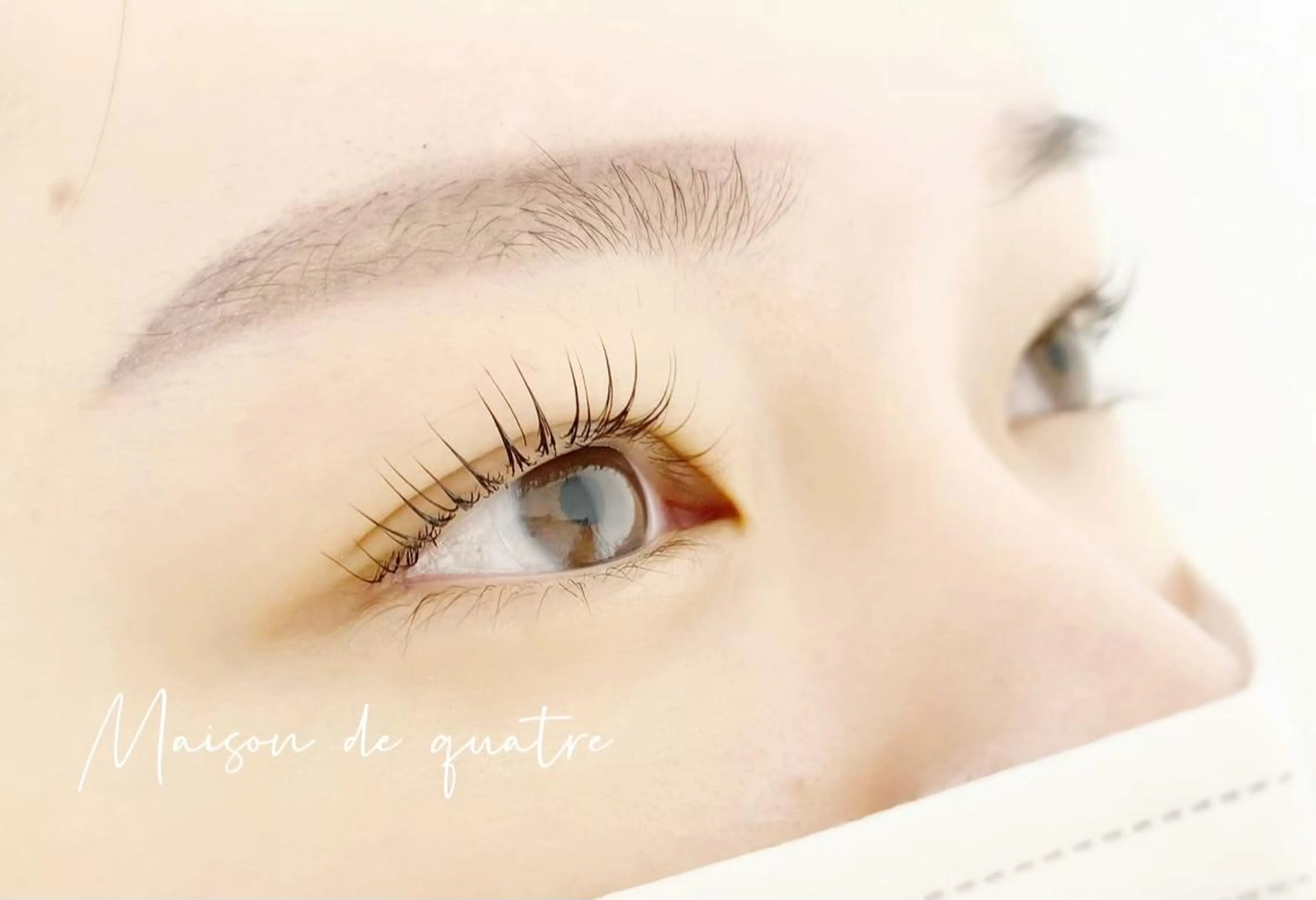 マツエク・マツパ ブラウンラッシュ カラーマツエク フラットラッシュ パリジェンヌラッシュリフト まつげパーマ Maison de quatreのマツエク・マツパデザイン