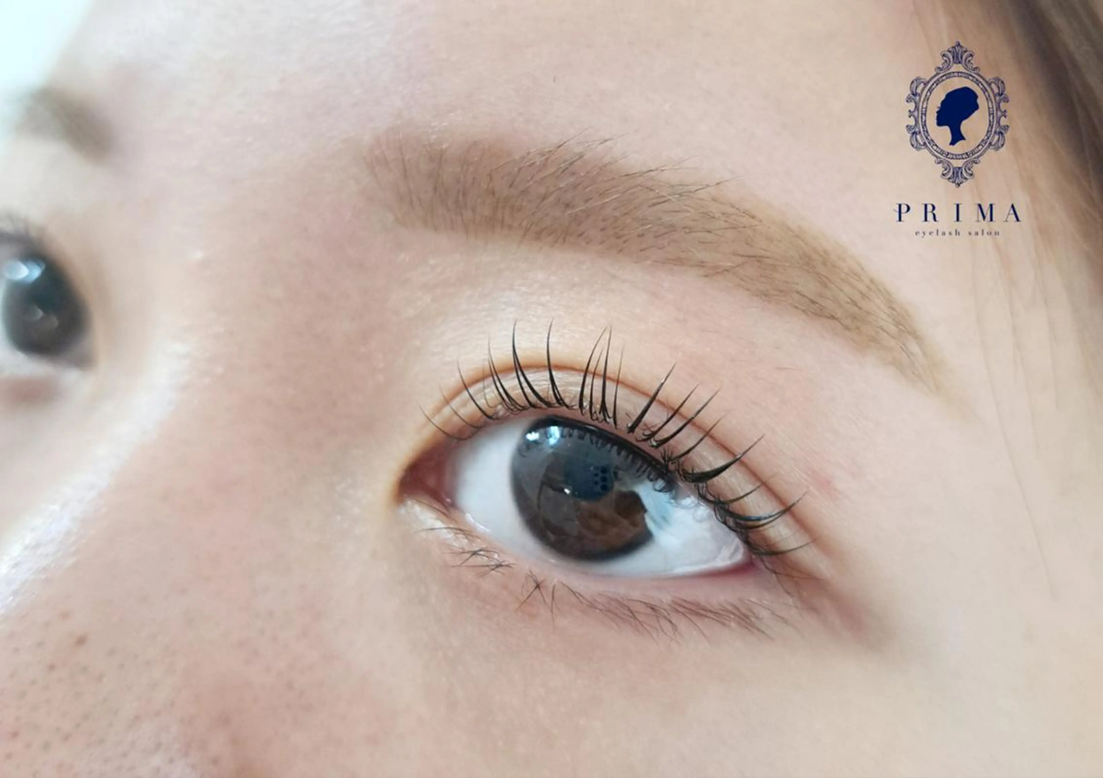 【U24学割】まつげパーマ＆美眉アイブロウWAX脱毛１回の写真