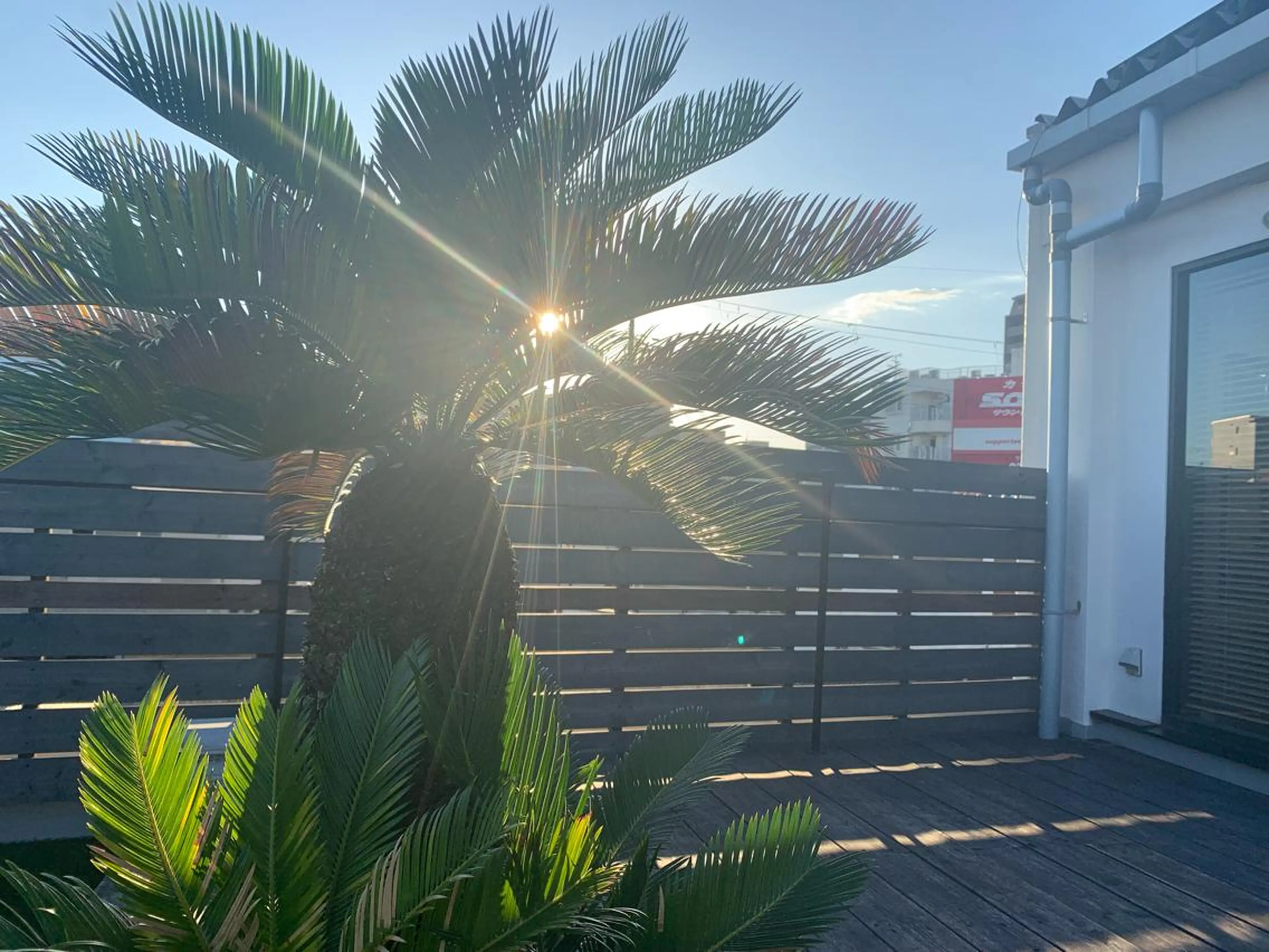 Emma ecole所属・Emma ecole /栄/RIOのヘアスタイル