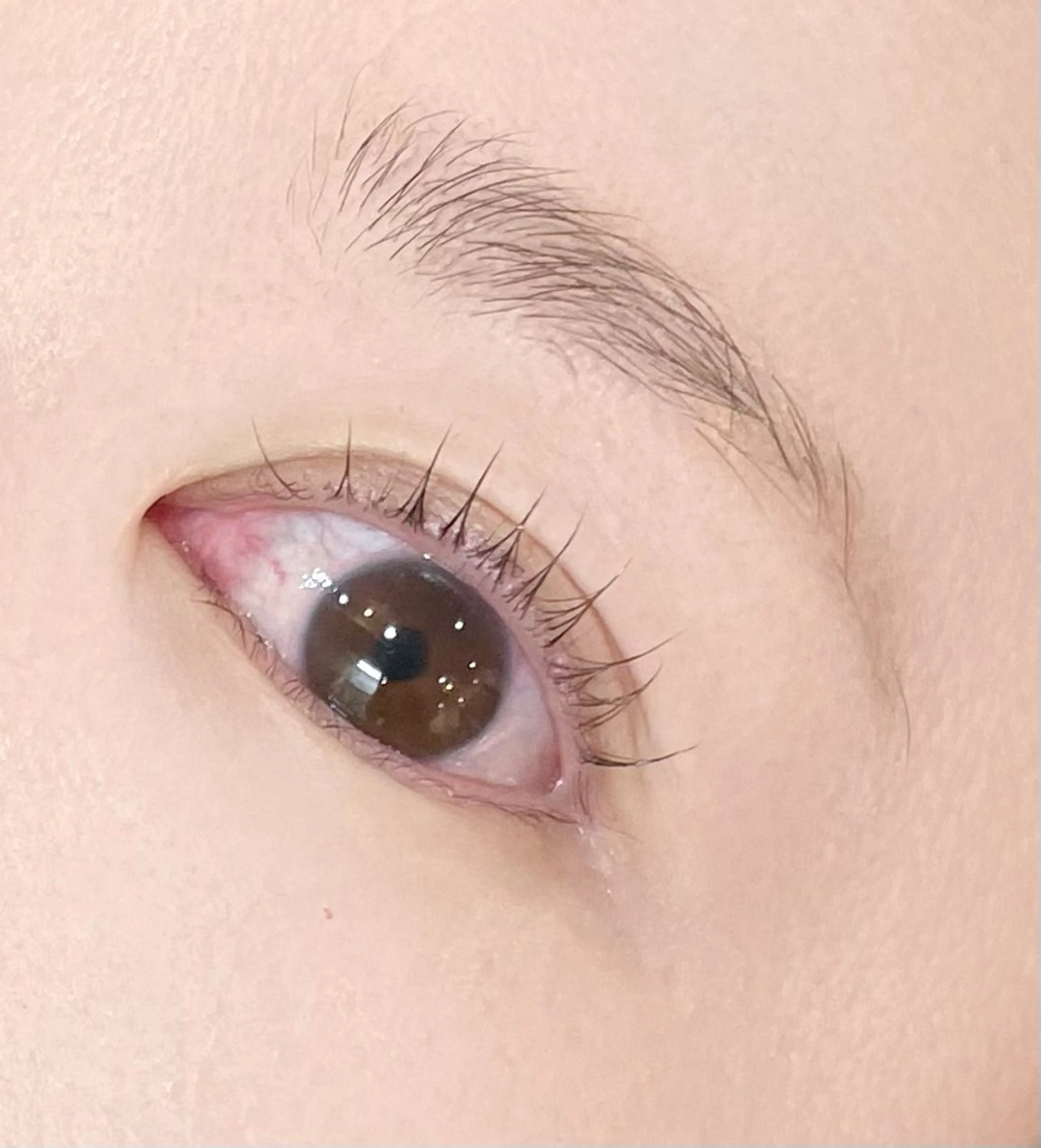 マツエク・マツパ 👑EYELA 柏／ 川村👑の眉毛・アイブロウイメージ