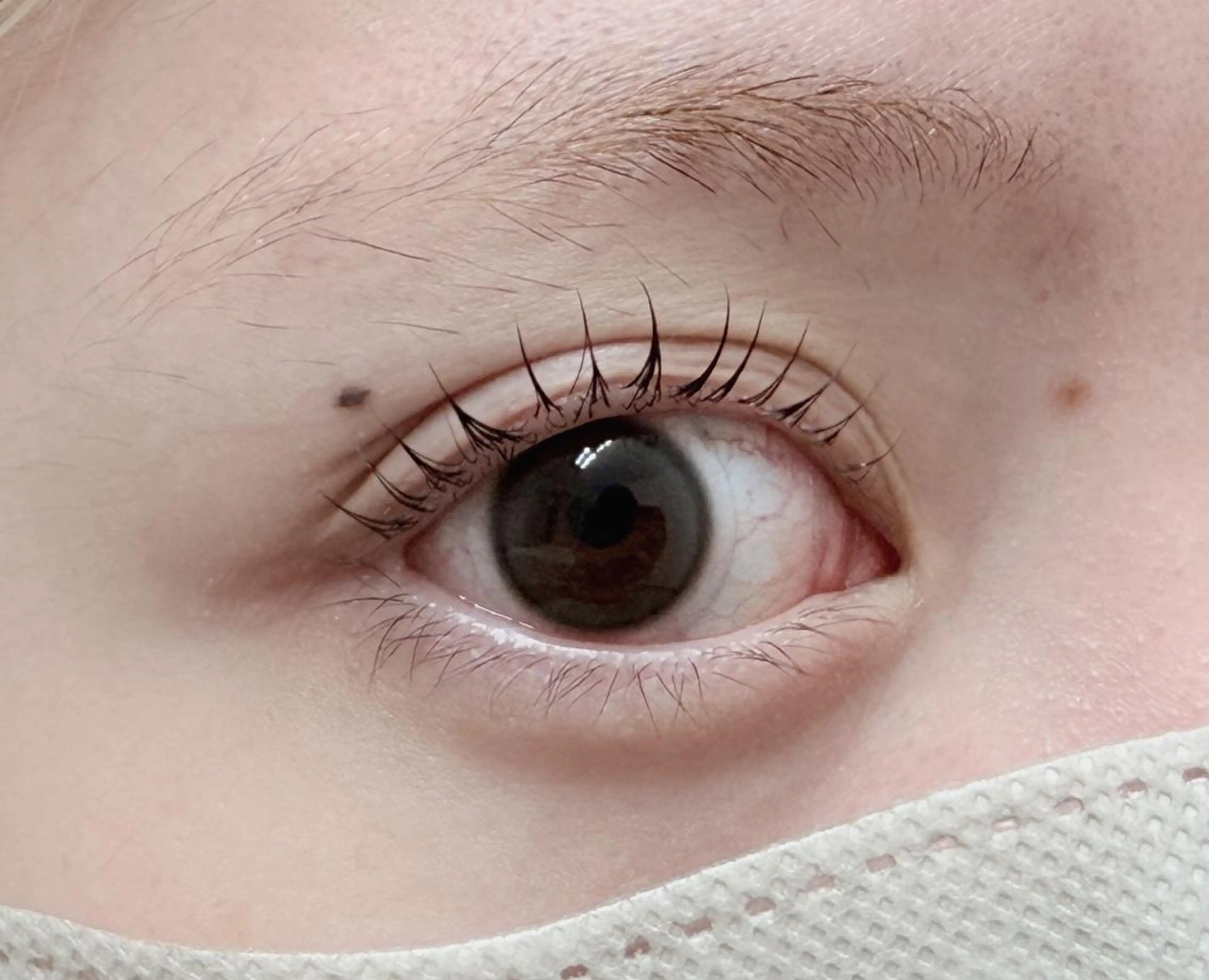 マツエク・マツパ マツパ M &M salon新大久保店のマツエク・マツパデザイン