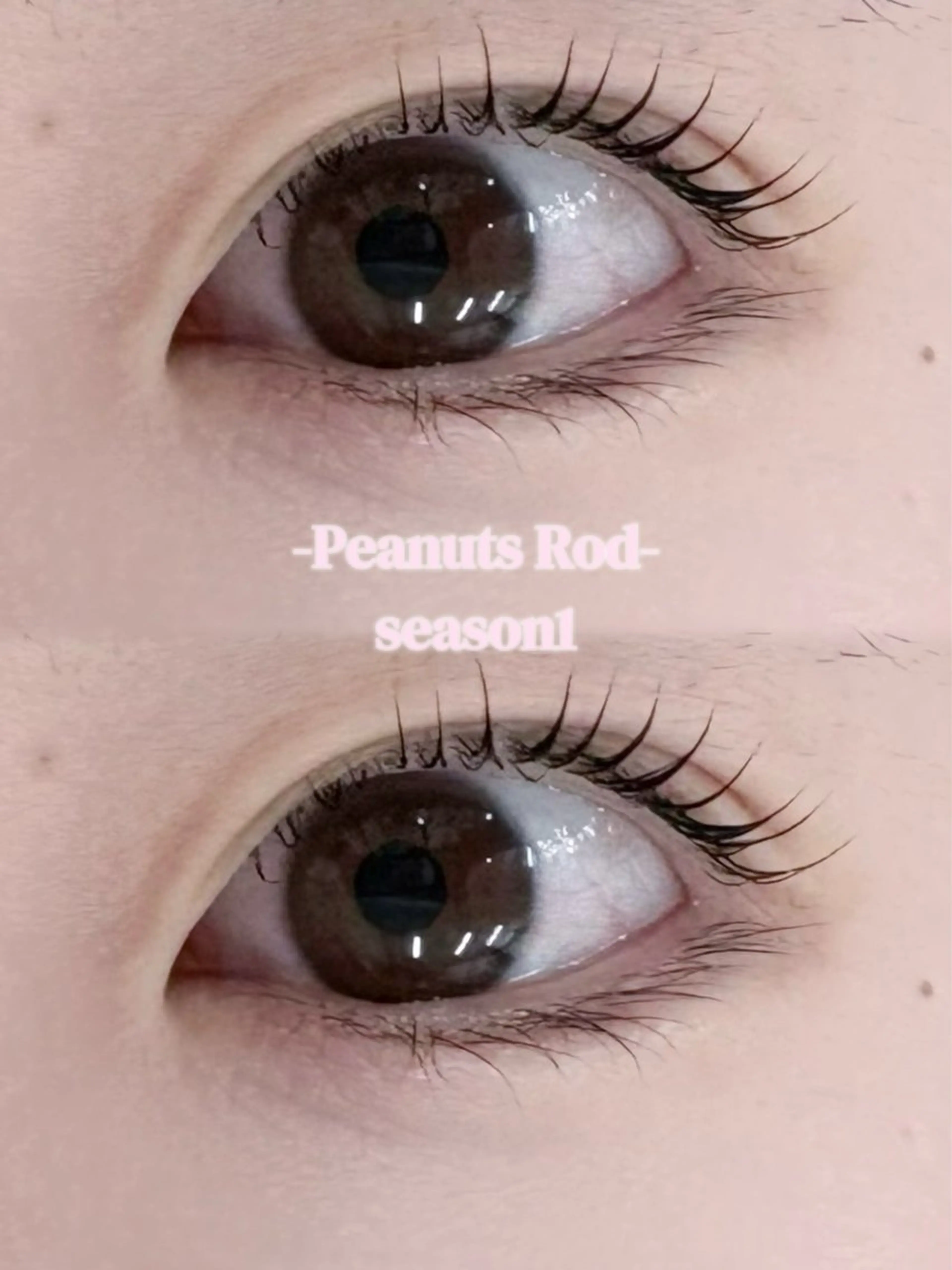 ⚠️4/16 11:00~のご案内となっております！パリジェンヌラッシュリフト/ラッシュリフト(上のみ)の写真